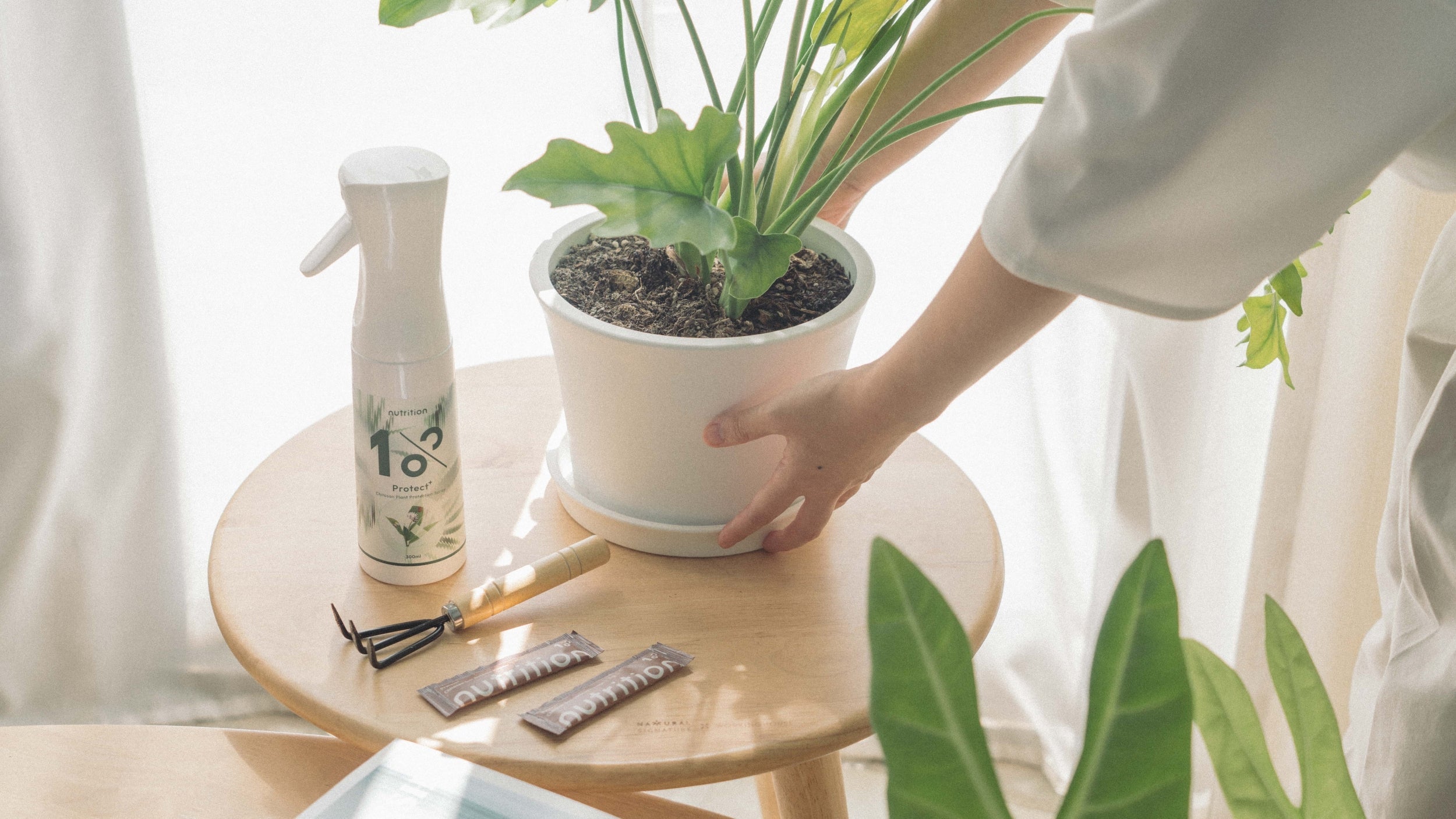 植物防蟲全攻略:驅蟲預防多重要?沒有防護,等於讓植物裸奔!