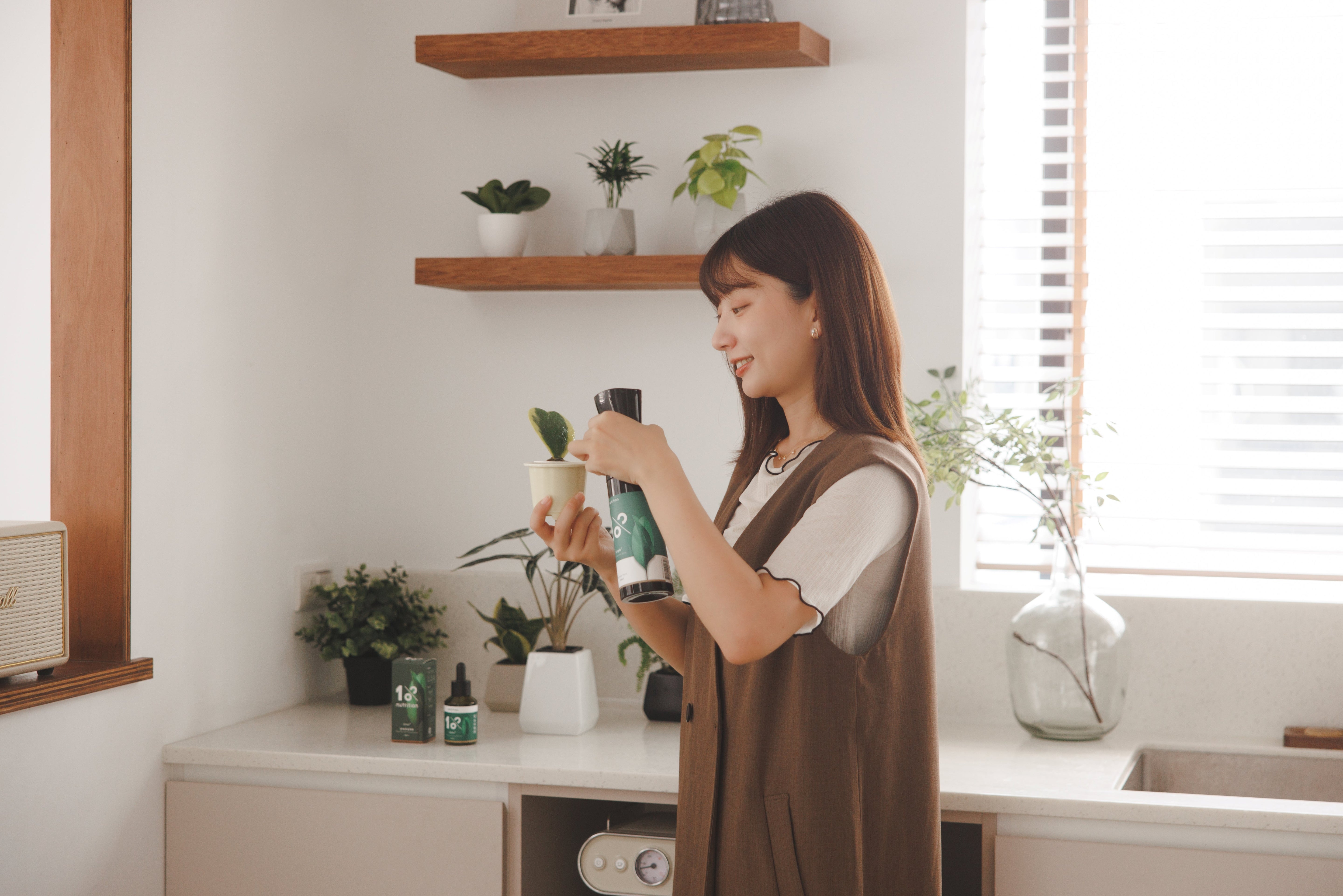 辦公桌植栽推薦!5 種最適合新手 OL 的療癒綠植