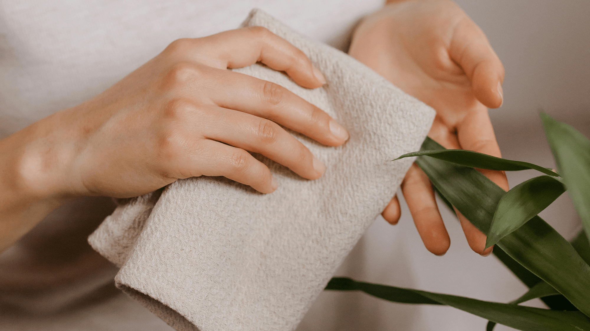 植物專屬的10個生活儀式 讓種植更有幸福感