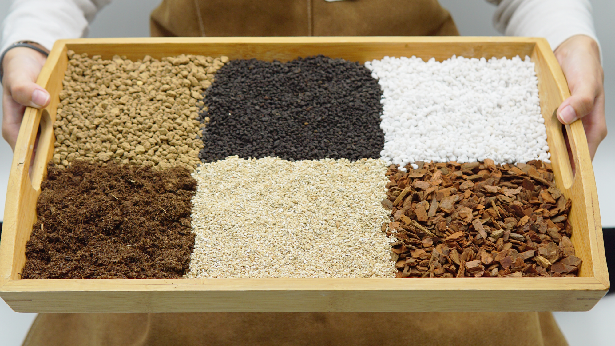 悶根、爛根、小黑飛?選對土壤介質才是根本解法|配土完整指南
