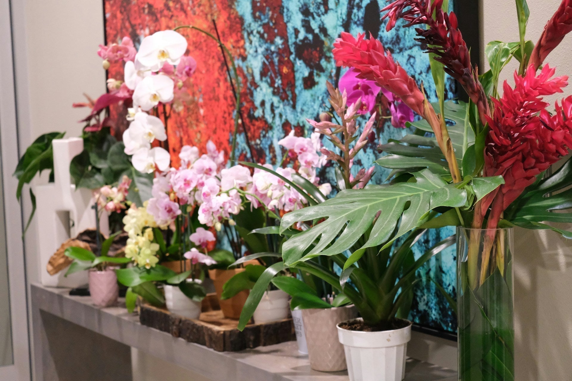 開花肥料怎麼選?緩釋、化學磷鉀、植物萃取完整比較|盆栽開花推薦