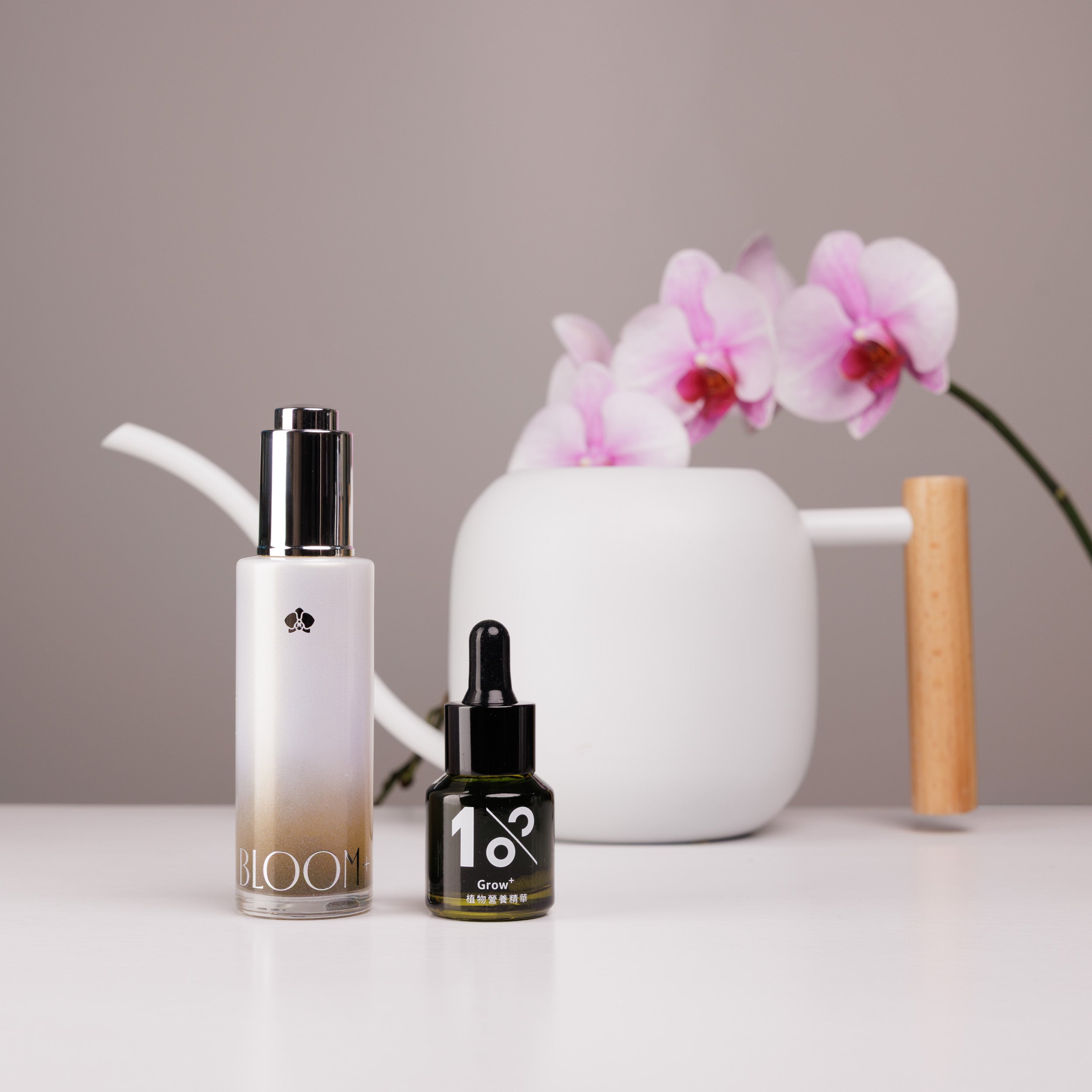 『新春限定』綻放澆水體驗組