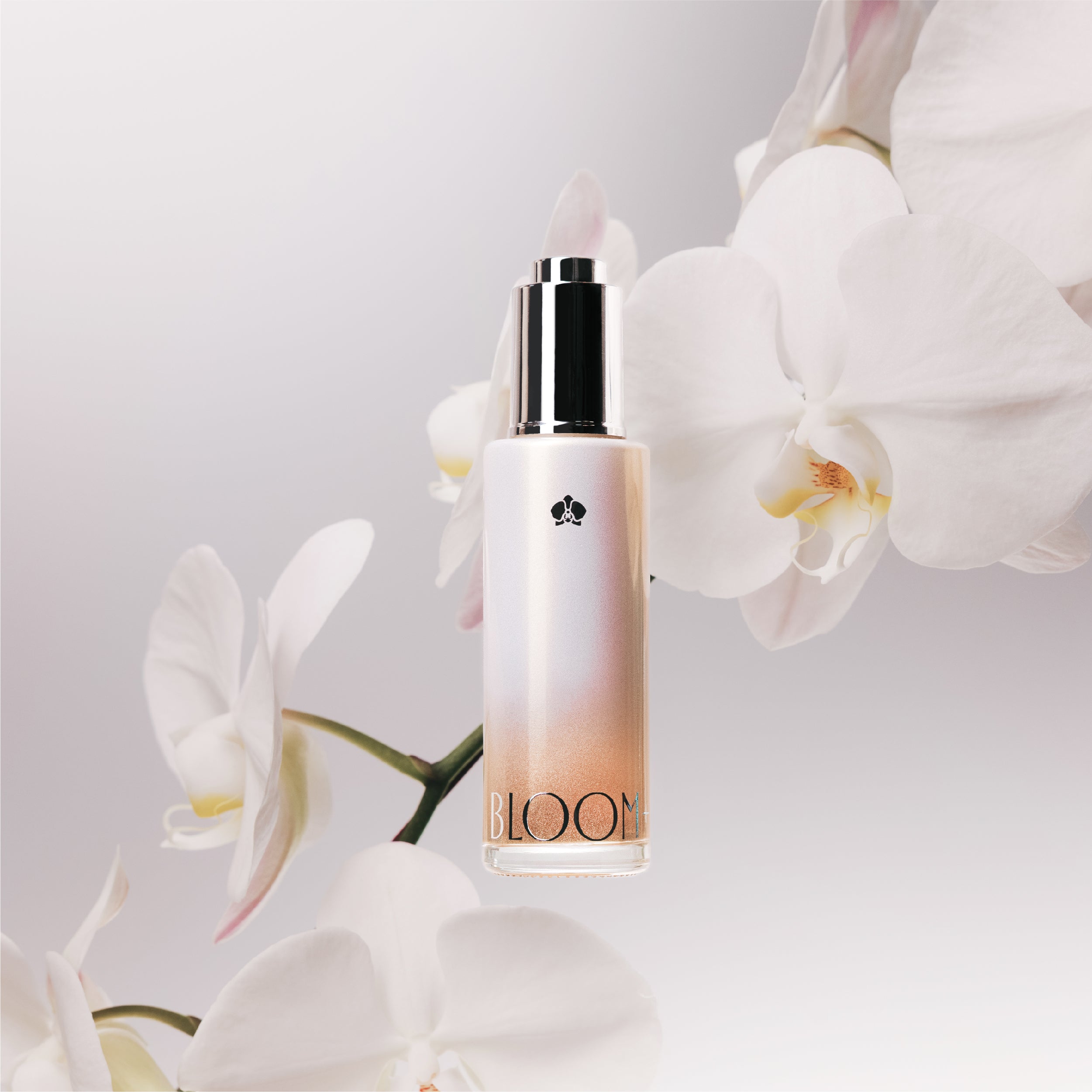 『新春限定』盆花日常體驗組