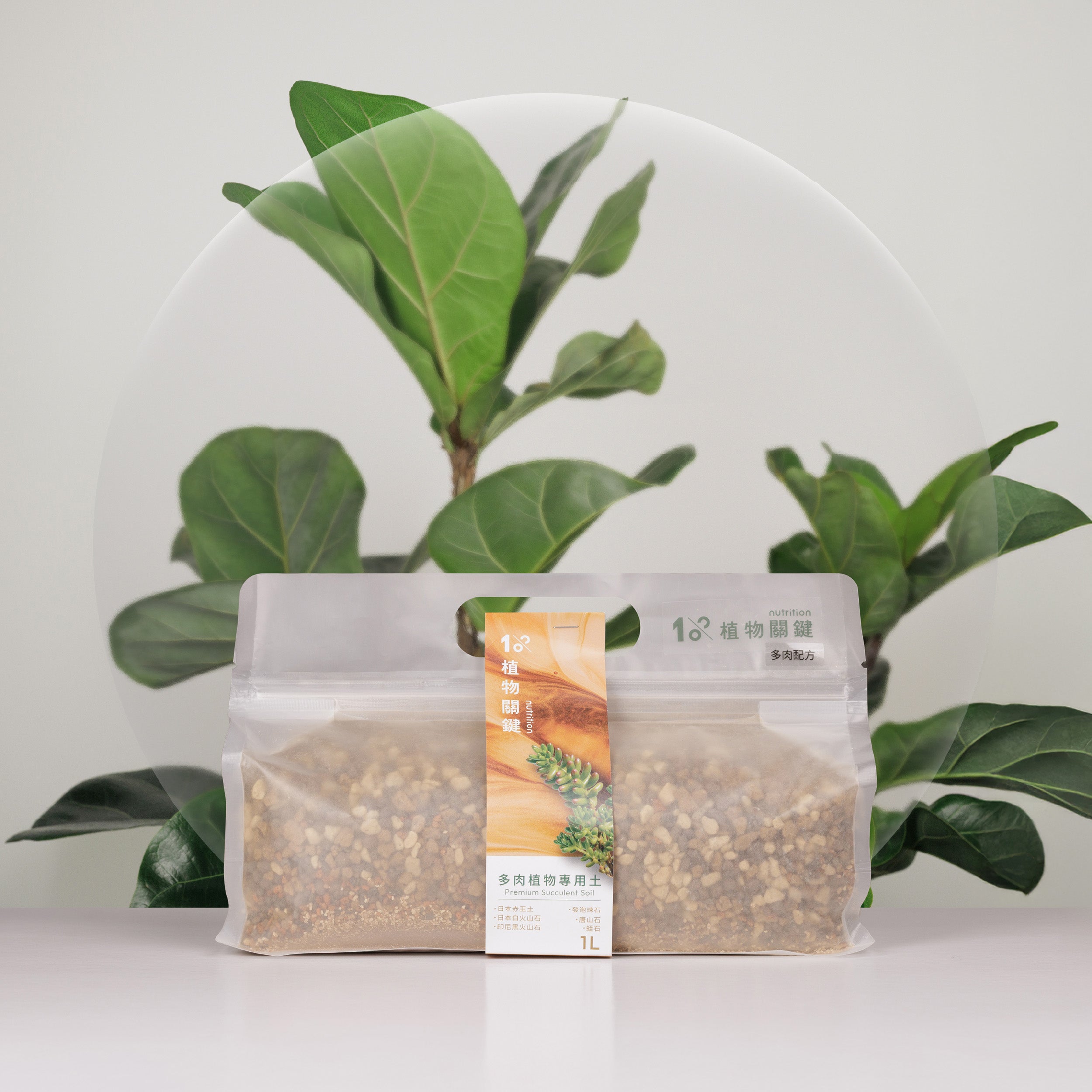 1%植物專用土 - 多肉植物
