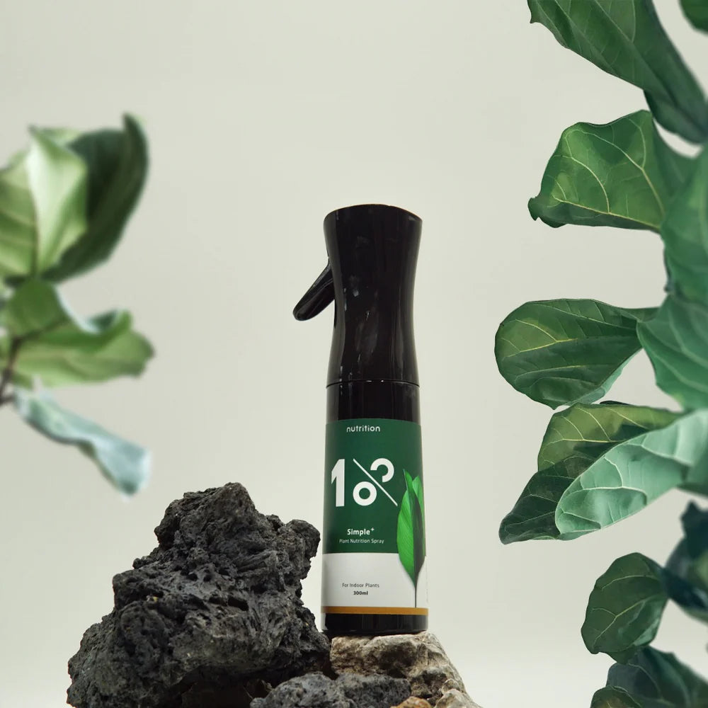 1%植物保養噴霧半年組