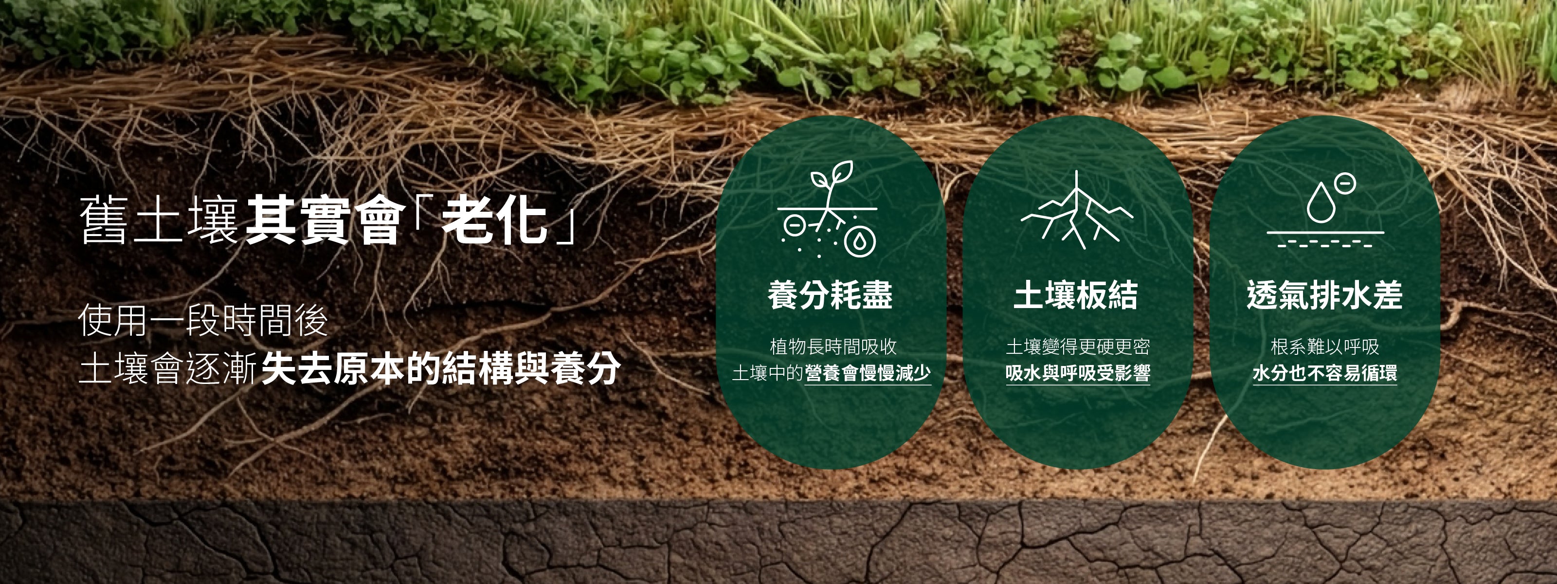 1%植物關鍵 為什麼植物不長?土壤老化造成養分流失、板結與透氣排水變差