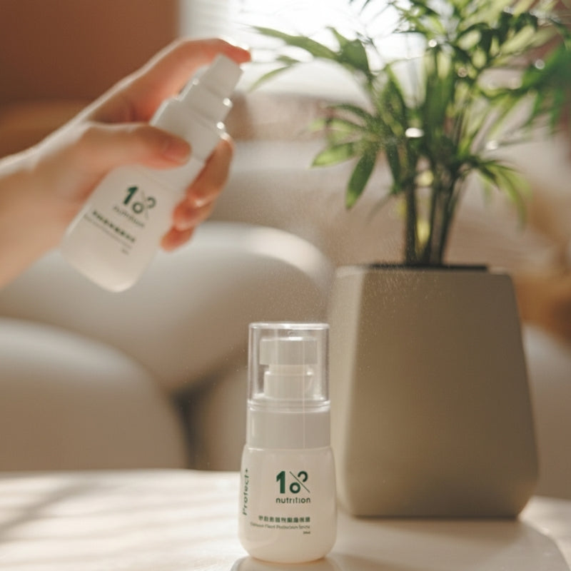 『新春限定』盆花日常照護組