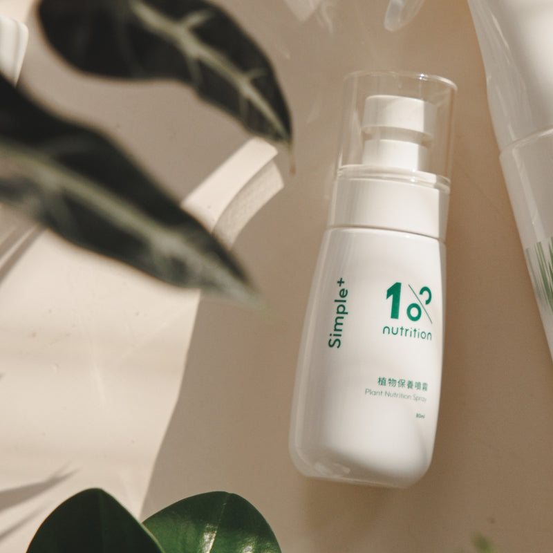 『新春限定』盆花日常照護組