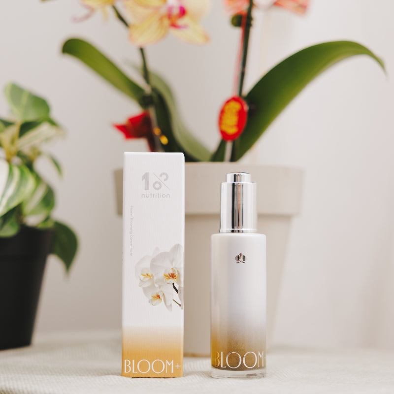 『新春限定』盆花防蟲綻放組