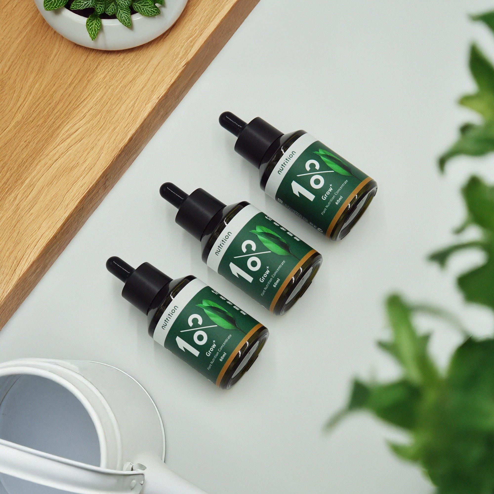 【Vivid Patio限定】1%植物營養精華 60 ml (3入以上/多入組)