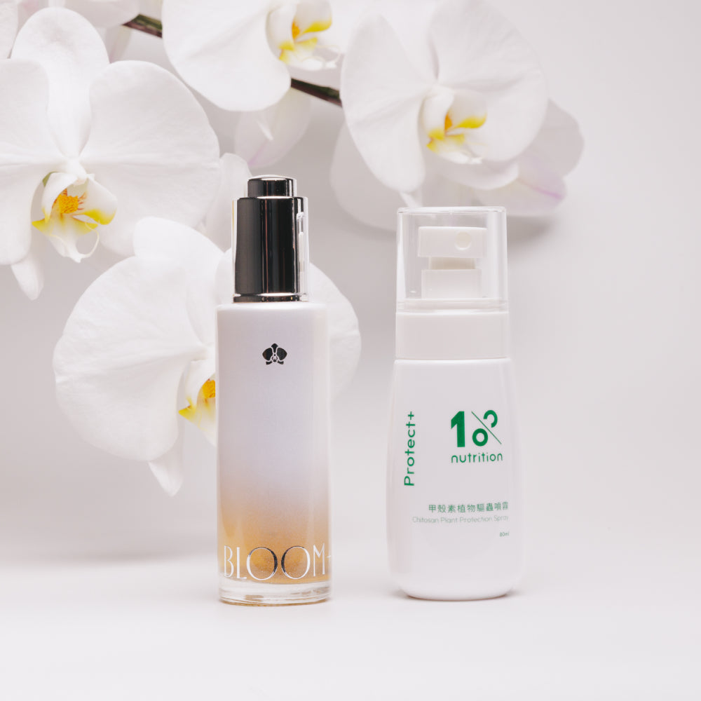 Bloom+ 開花精華搭配植物驅蟲噴霧組合,適合蘭花與室內盆栽日常開花養護