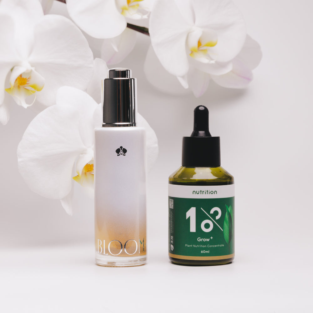 Bloom+ 開花精華搭配 Grow+ 成長精華,適合室內植物日常養護與開花循環使用
