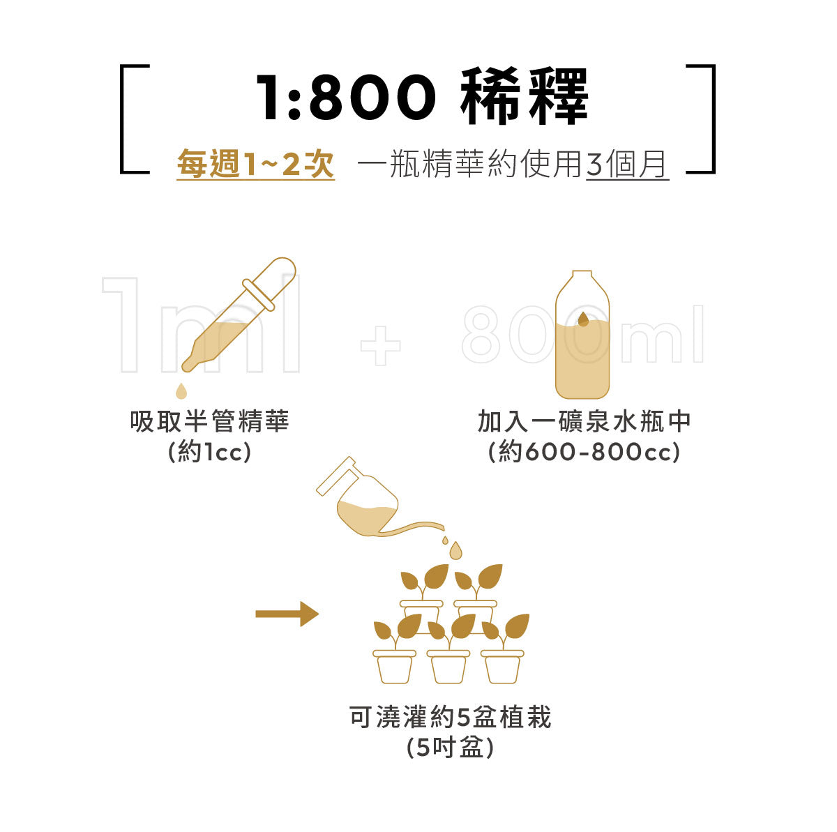 Bloom+ 開花精華 1比800 稀釋比例與使用方法,每週1至2次植物澆灌養護使用