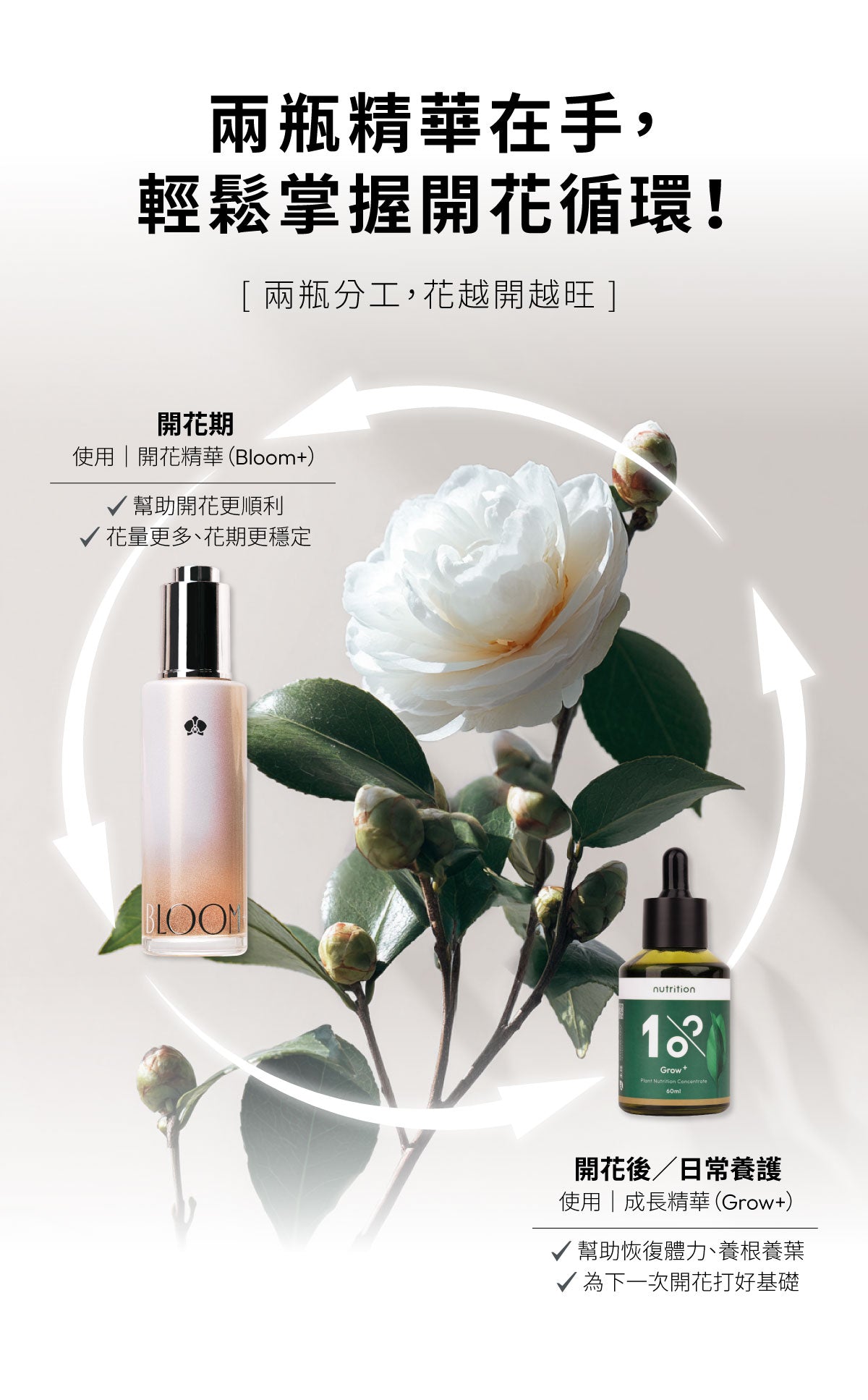 Bloom+ 開花精華搭配 Grow+ 成長精華,建立植物開花循環養護