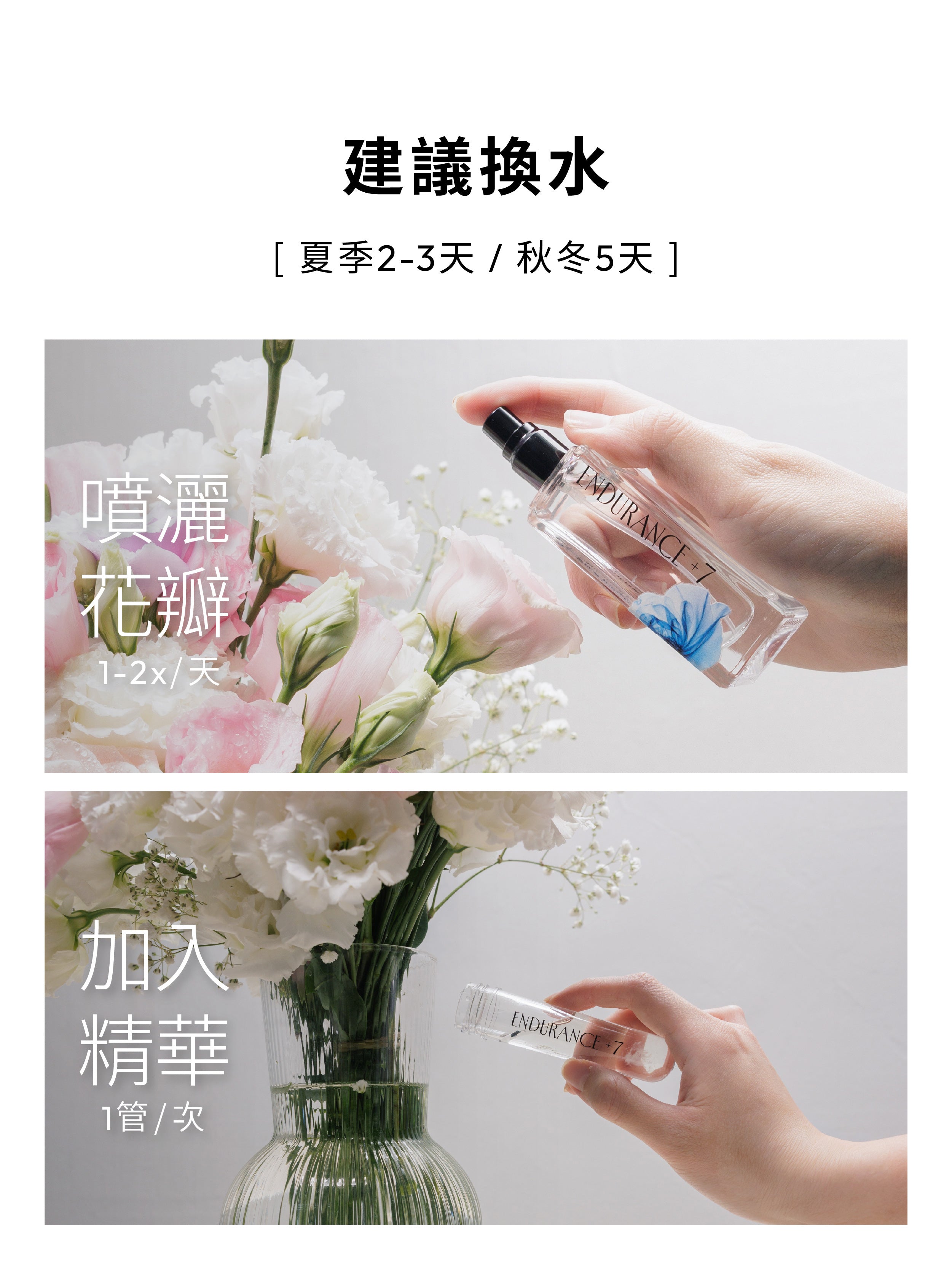 1%植物關鍵 Endurance+7 鮮花保鮮小組合使用方式,每日噴灑花瓣1–2次,建議每2-3天換水時將一管保鮮精華加入花瓶水中,雙效養護延長花期