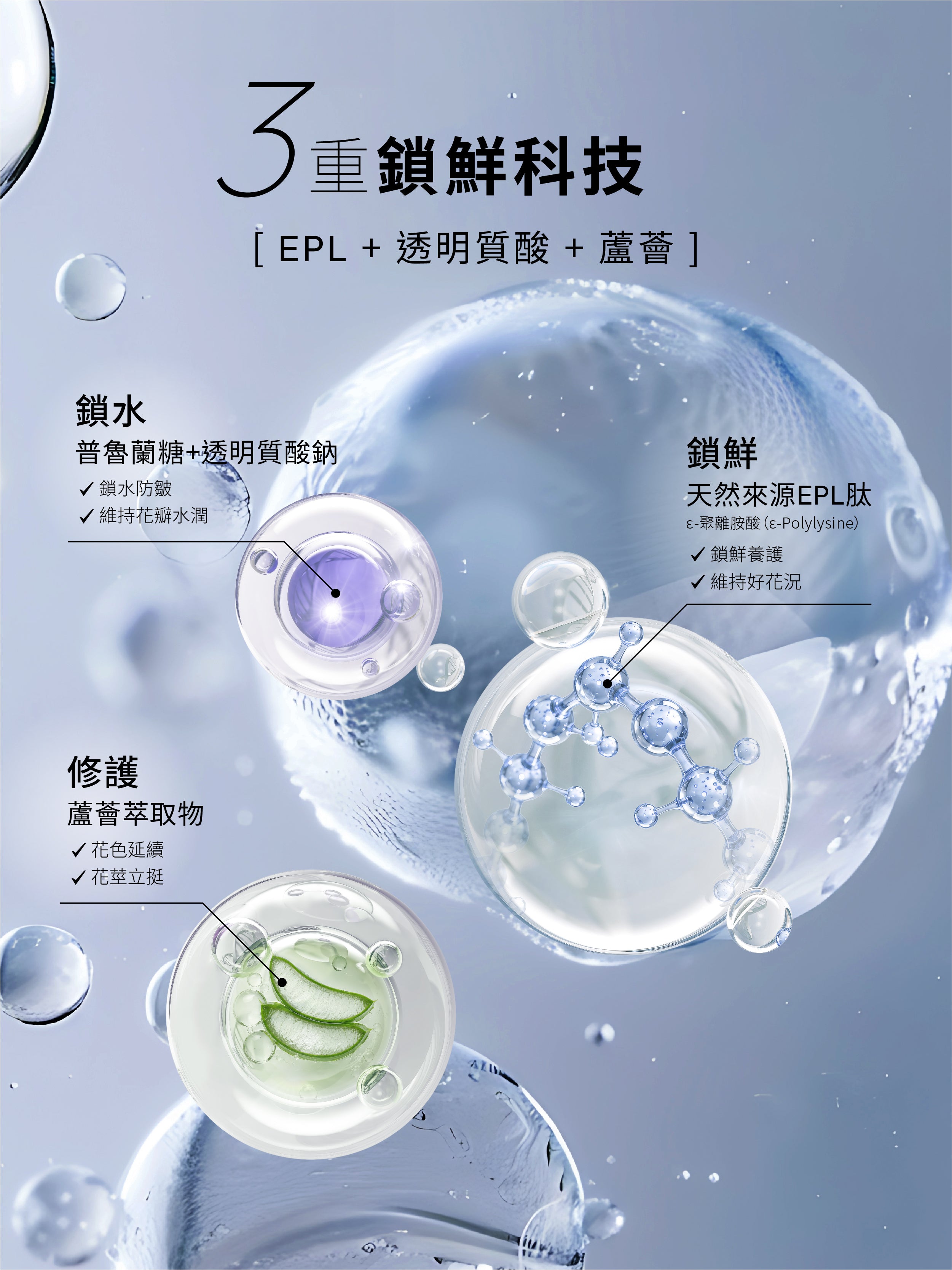 1%植物關鍵 Endurance+7 鮮花保鮮噴霧三重防護配方,結合EPL天然抗菌胜肽、透明質酸與蘆薈,幫助花瓣鎖水、抗菌及修護