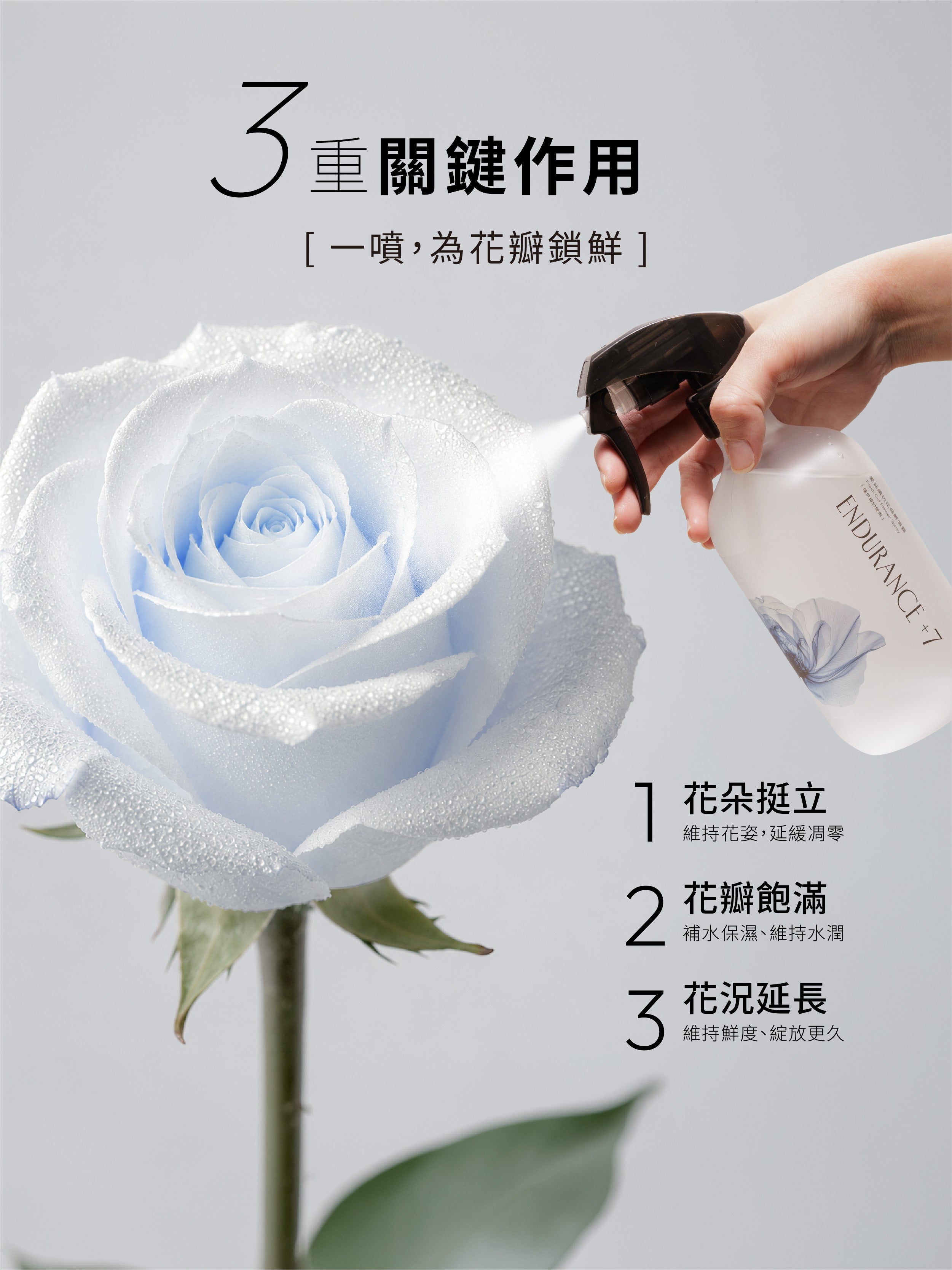 1%植物關鍵 Endurance+7 鮮花保鮮噴霧三大作用,一噴幫助花朵挺立、花瓣飽滿並延長花期