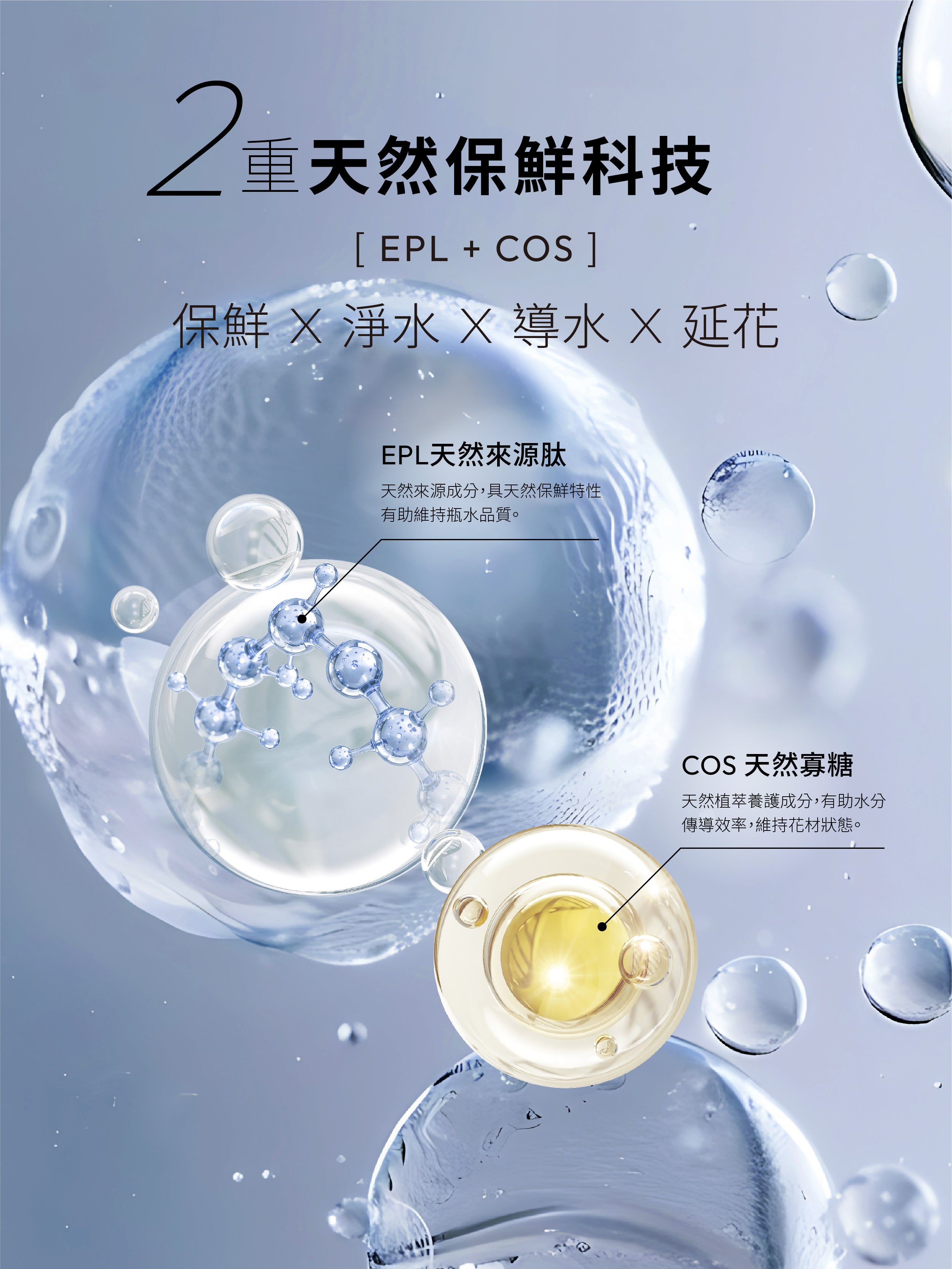 1%植物關鍵 Endurance+7 鮮花保鮮精華雙重天然抗菌配方,結合EPL天然抗菌胜肽與COS抗菌寡糖,幫助淨化瓶水、促進導水並延長花期