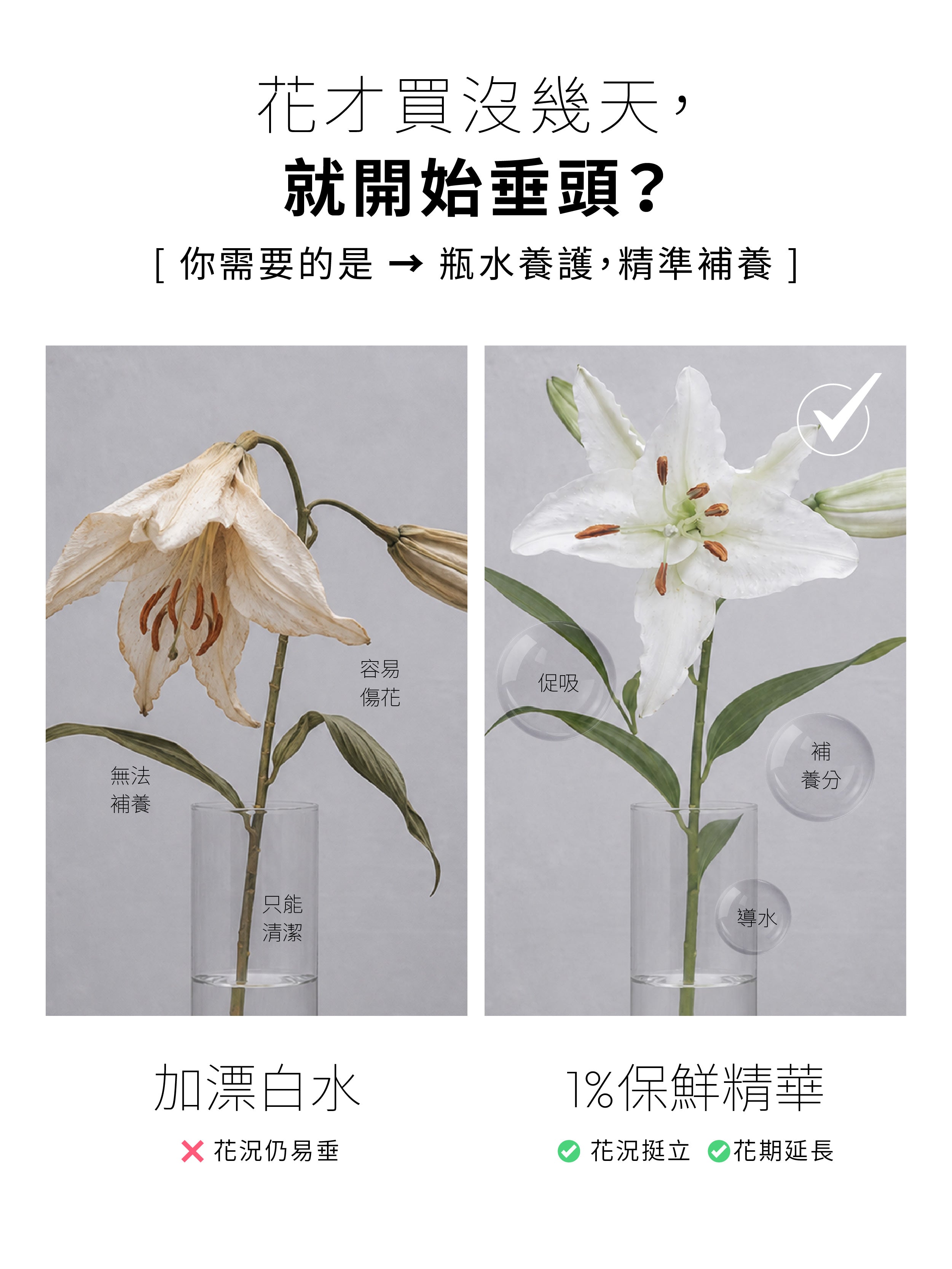 漂白水與1%植物關鍵 Endurance+7 鮮花保鮮精華效果比較,1%保鮮精華兼具抗菌與補充養分作用,幫助花朵挺立並延長花期