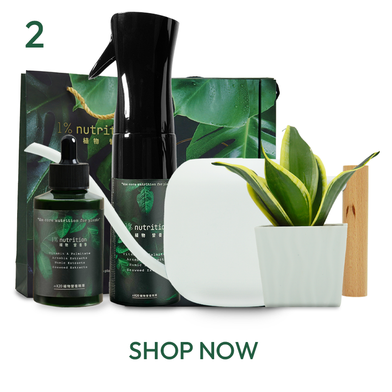 nX20 Plant Nutrition Gift Set 1% Plant Watering Can Snake Plant