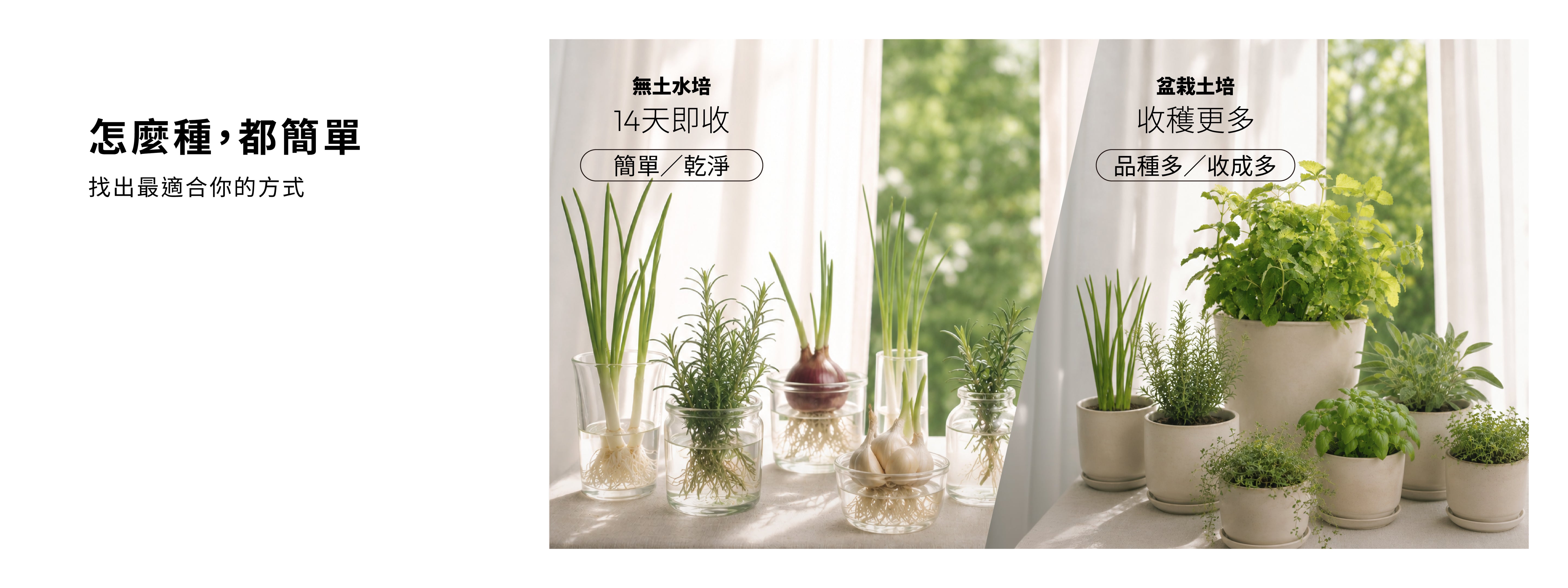 1%植物關鍵居家香草種植指南,無土水培簡單乾淨,盆栽土培品種多且收成更多,依需求選擇適合的栽種方式