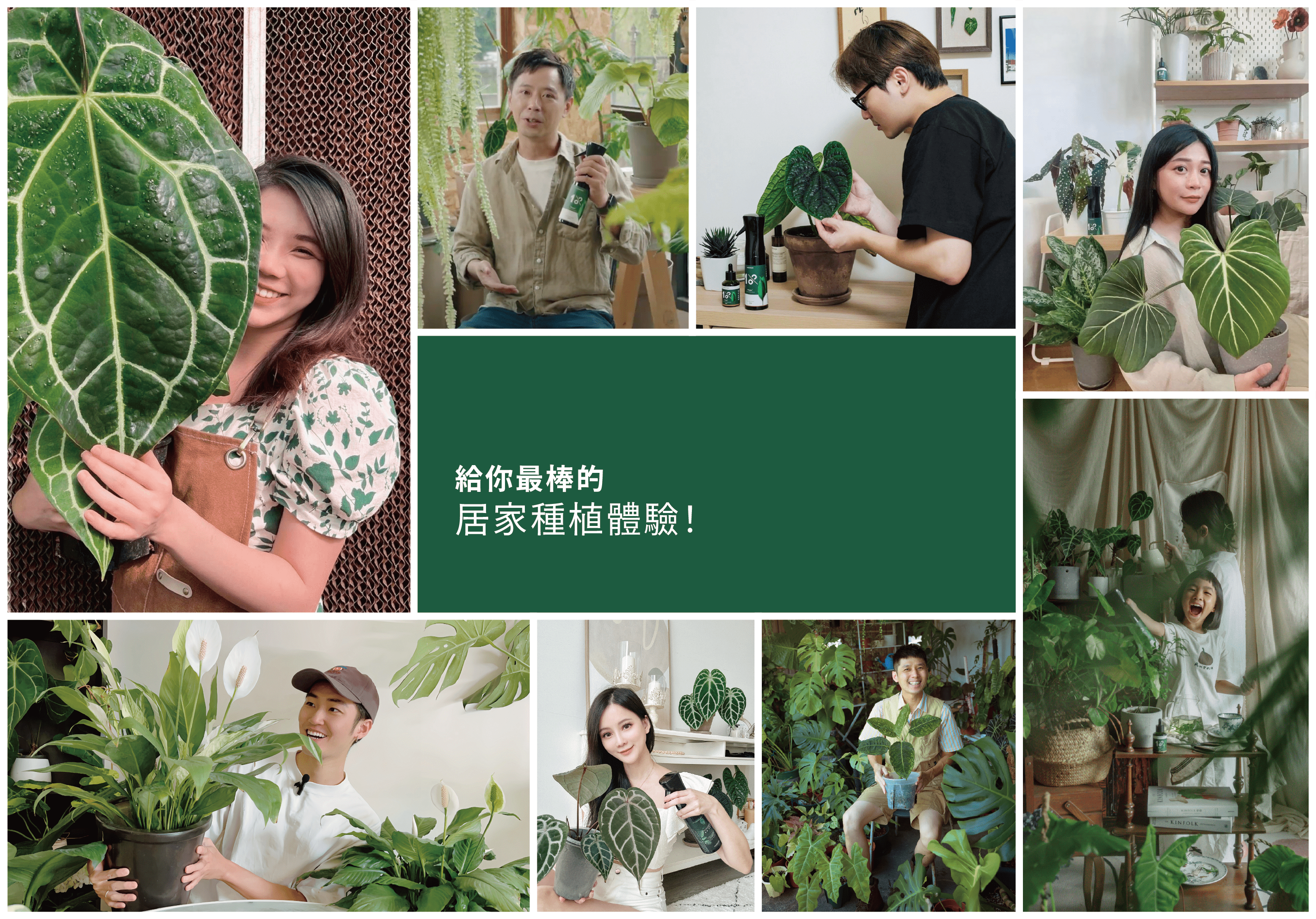 給你最棒的居家種植體驗