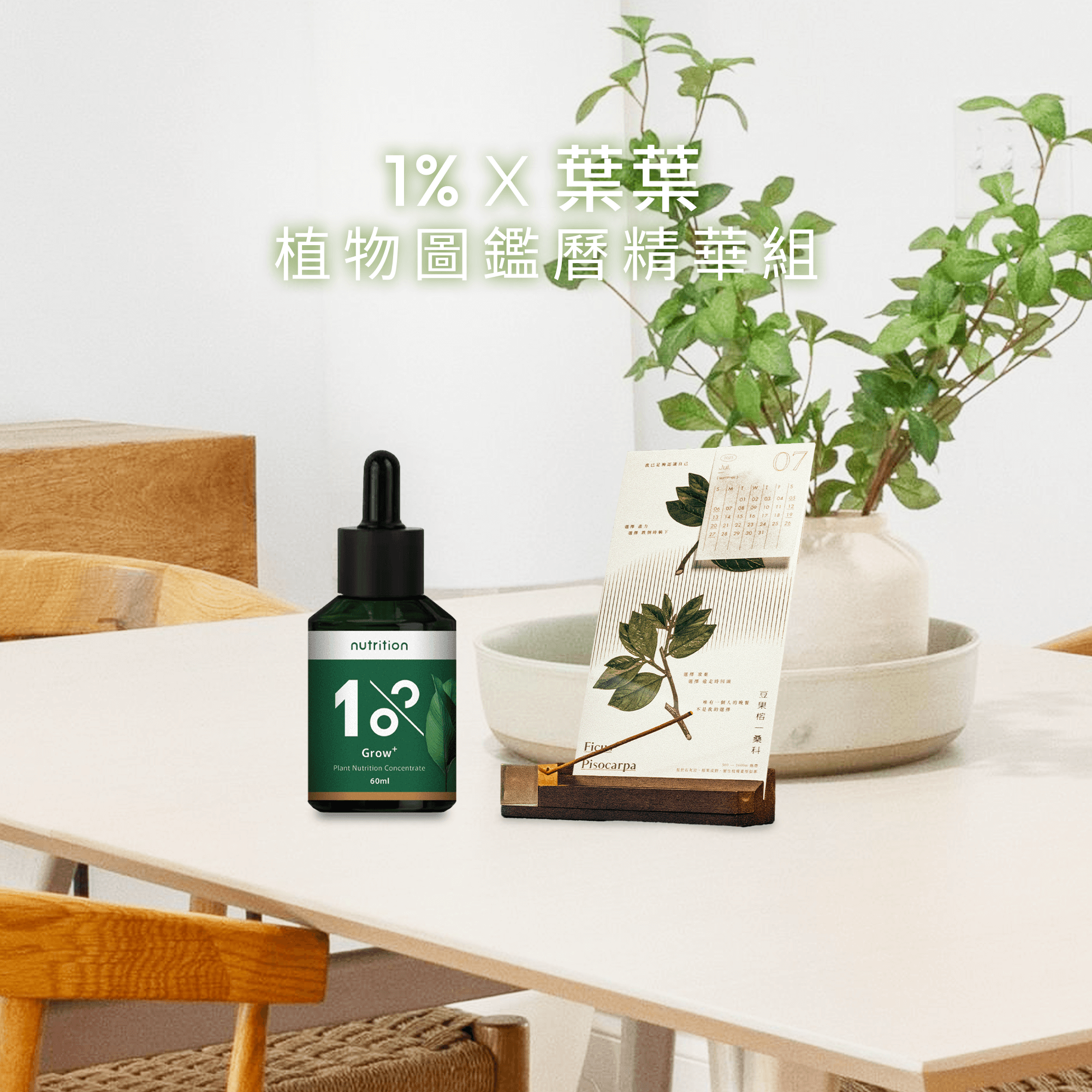 葉葉 限量聯名 植物圖鑑曆 精華組 附中提袋