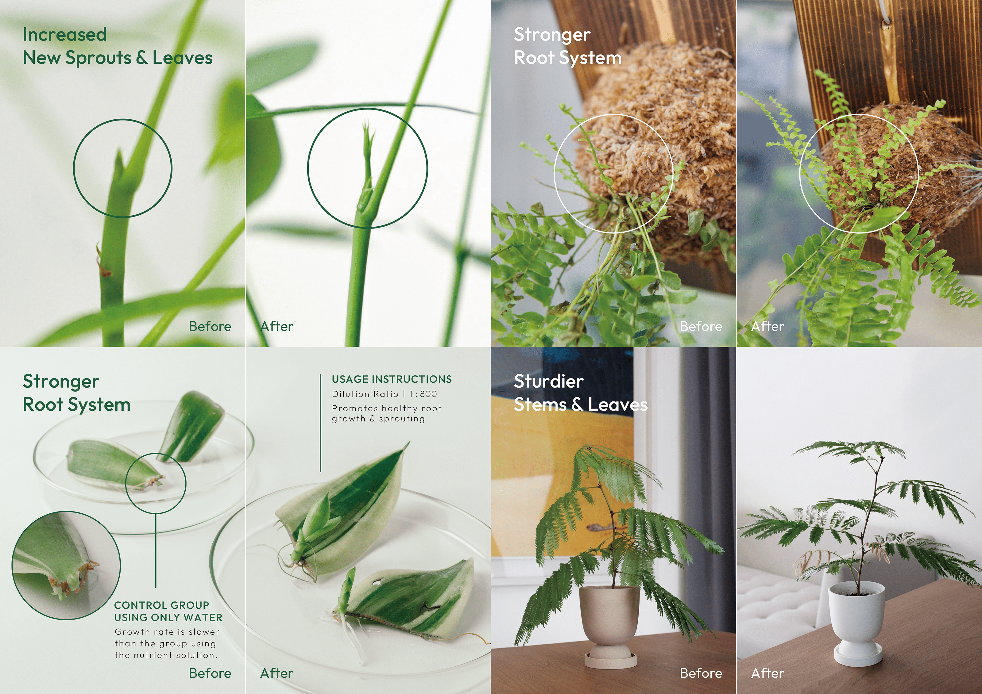 1% Plant Nutrition Concentrate Before & After