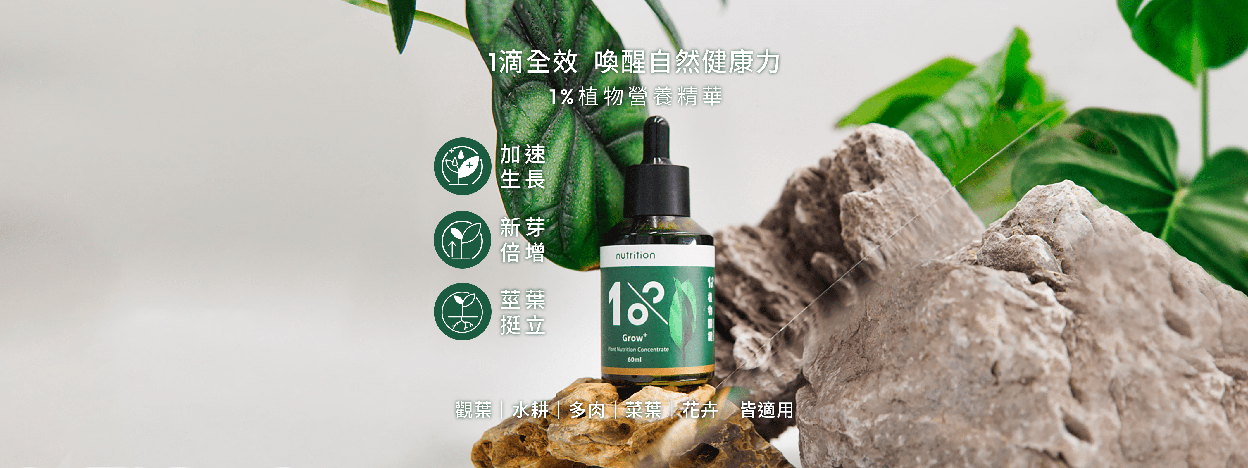 1%植物營養精華