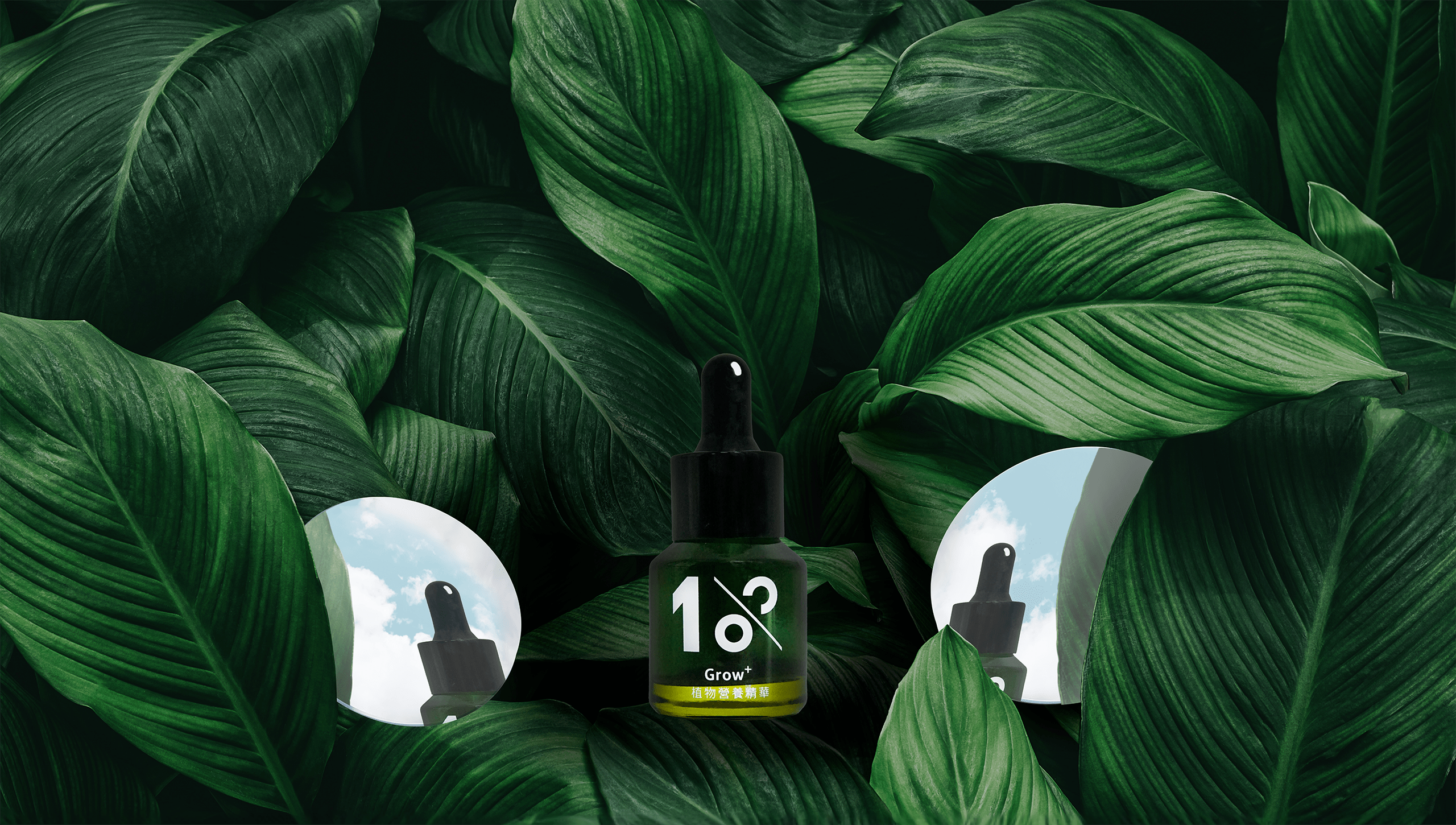 1%植物營養精華 15 ml