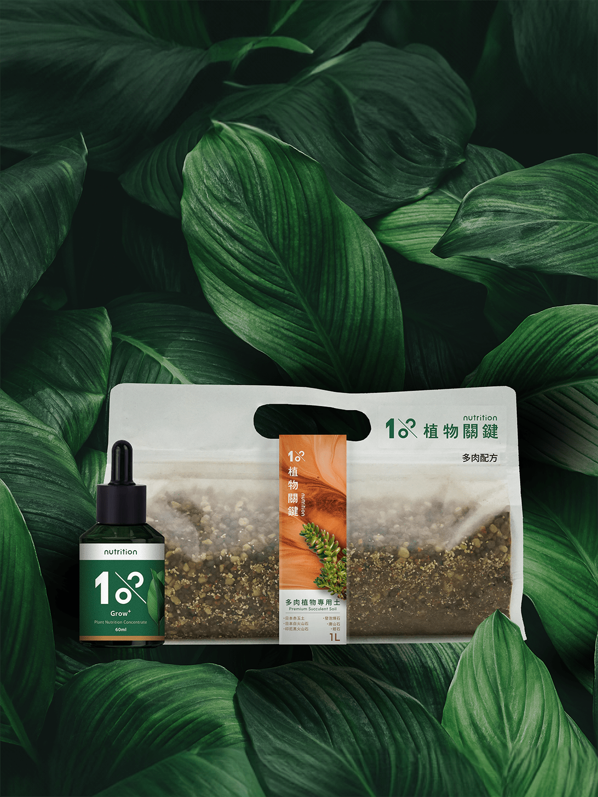 1%植物專用土 多肉植物 培養土