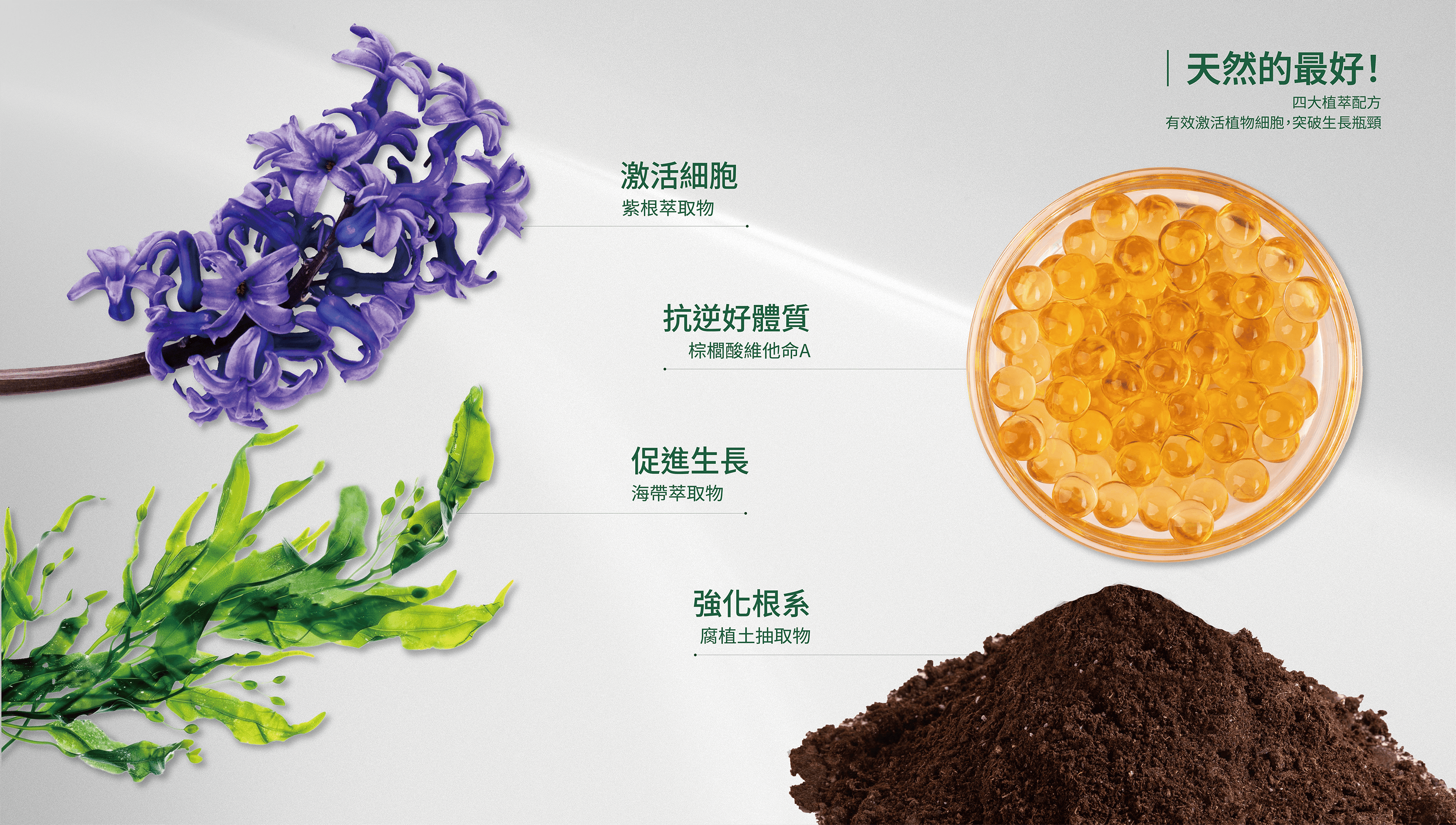 天然的最好 四大植萃配方