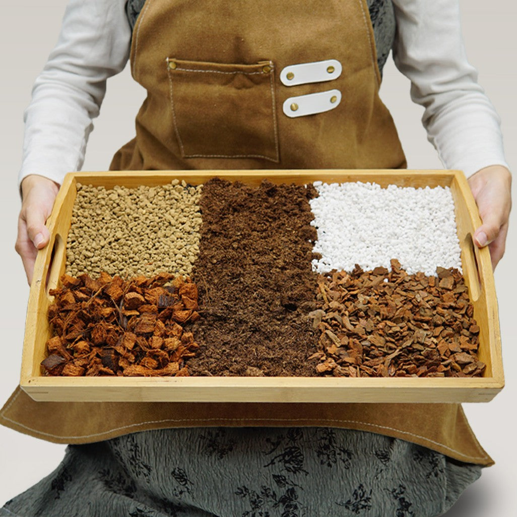 觀葉植物專用土 多肉專用土