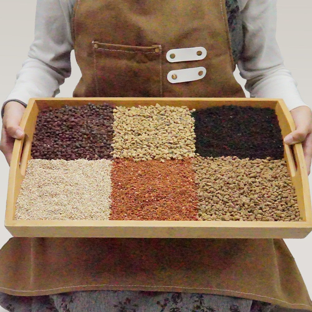 多肉植物專用土 多肉專用土