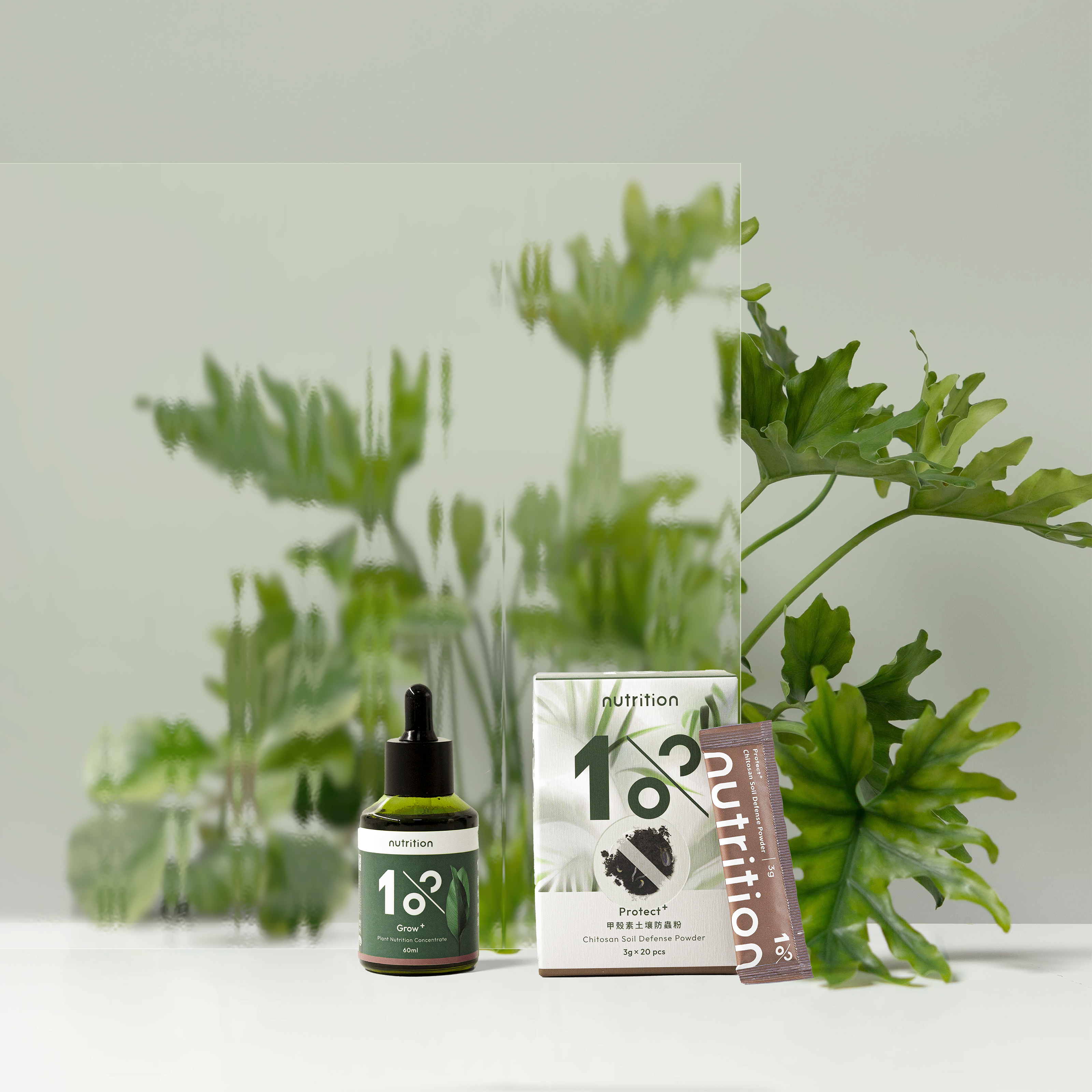 1% 營養防蟲專業養護組