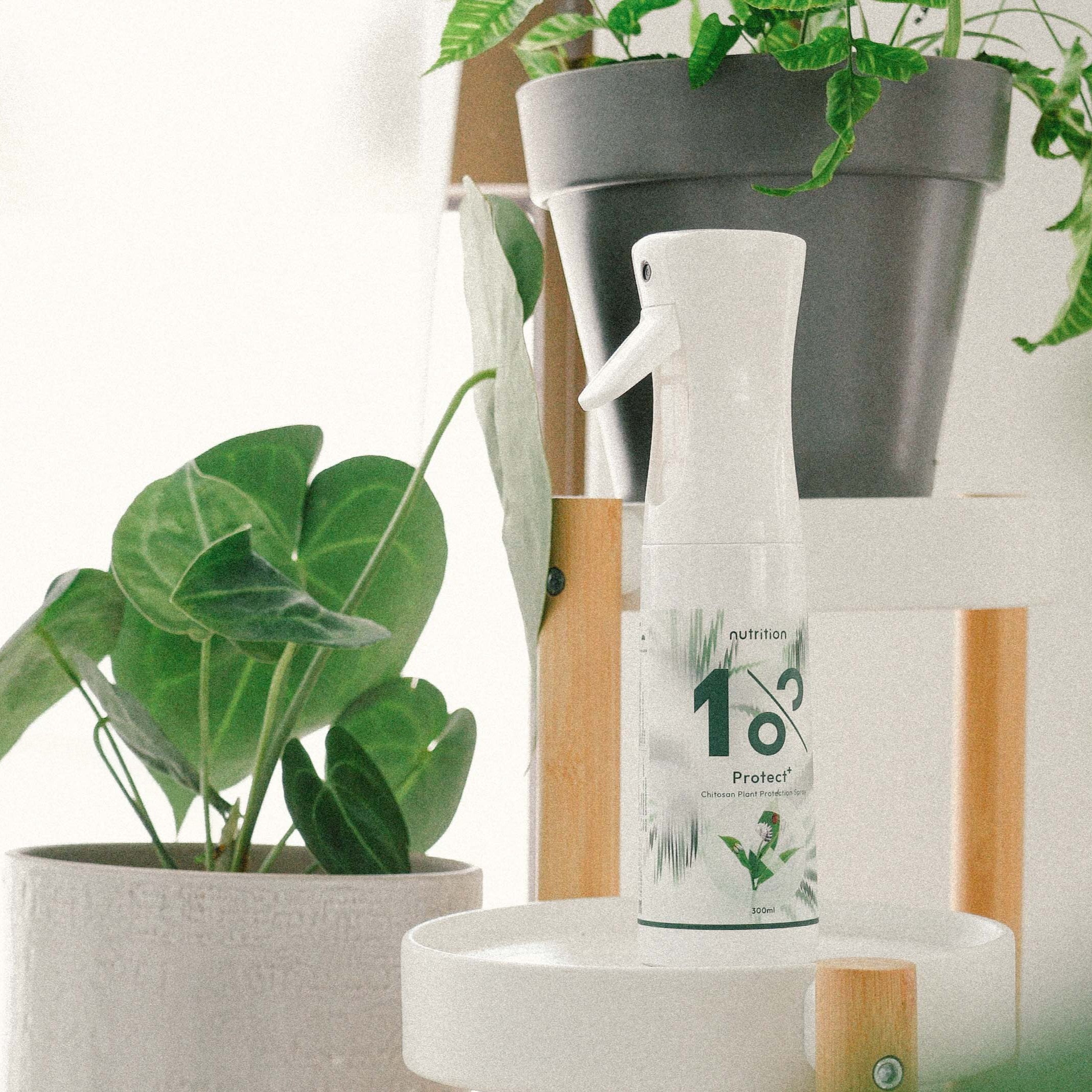 1% Protect+ 甲殼素植物驅蟲噴霧 300 ml