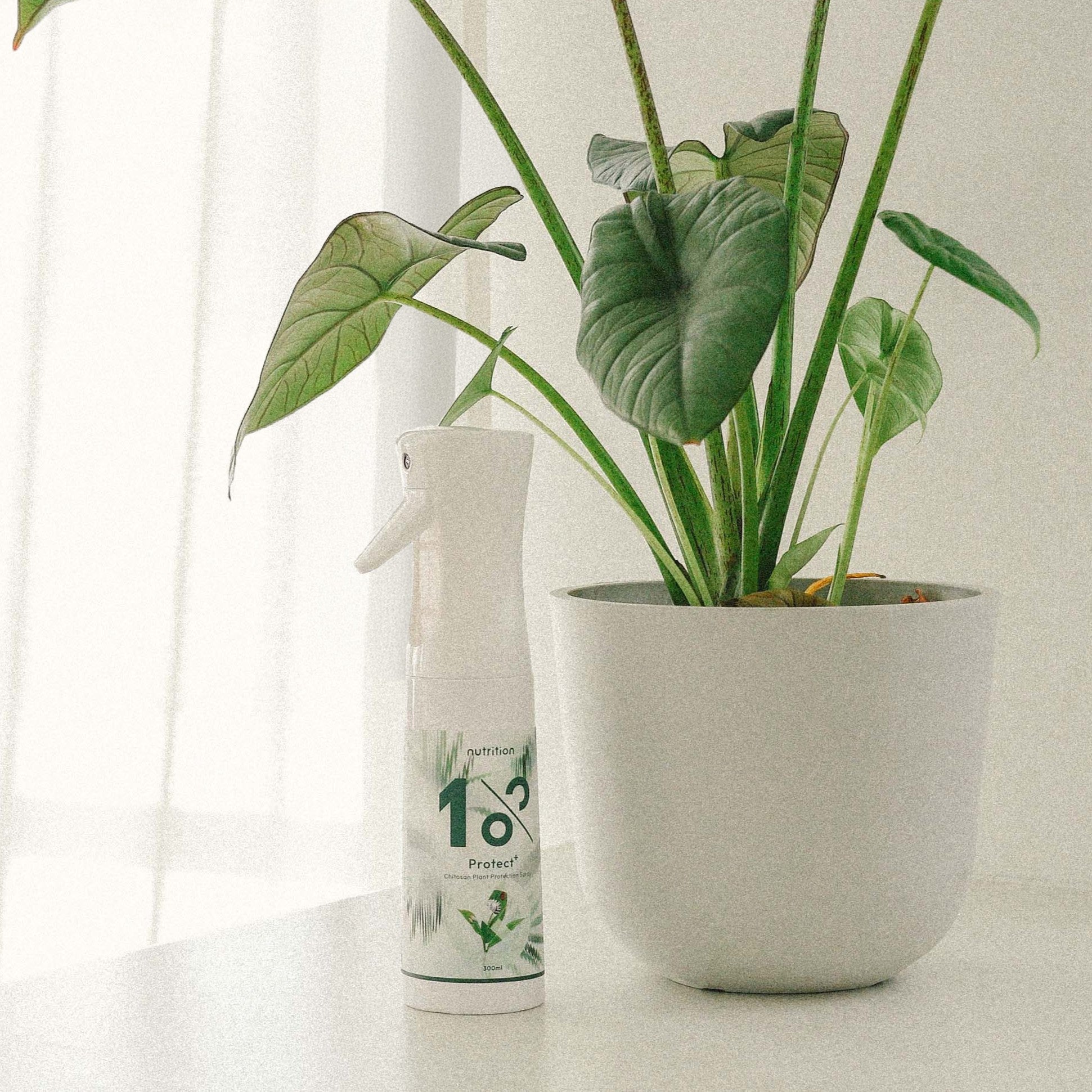 1% Protect+ 甲殼素植物驅蟲噴霧 300 ml