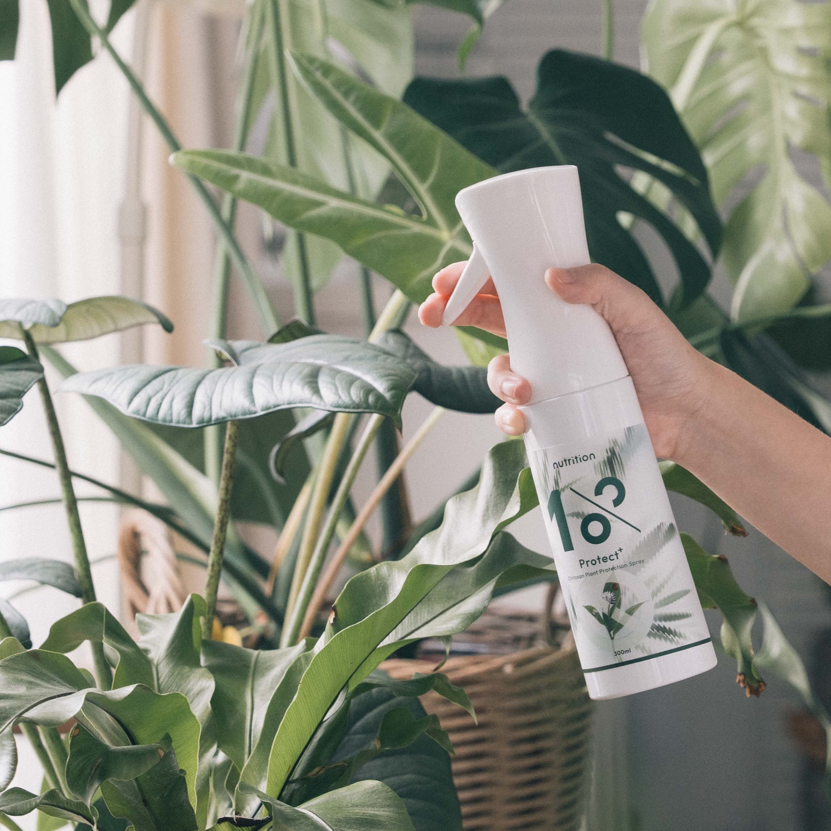 1% Protect+ 甲殼素植物驅蟲噴霧 300 ml