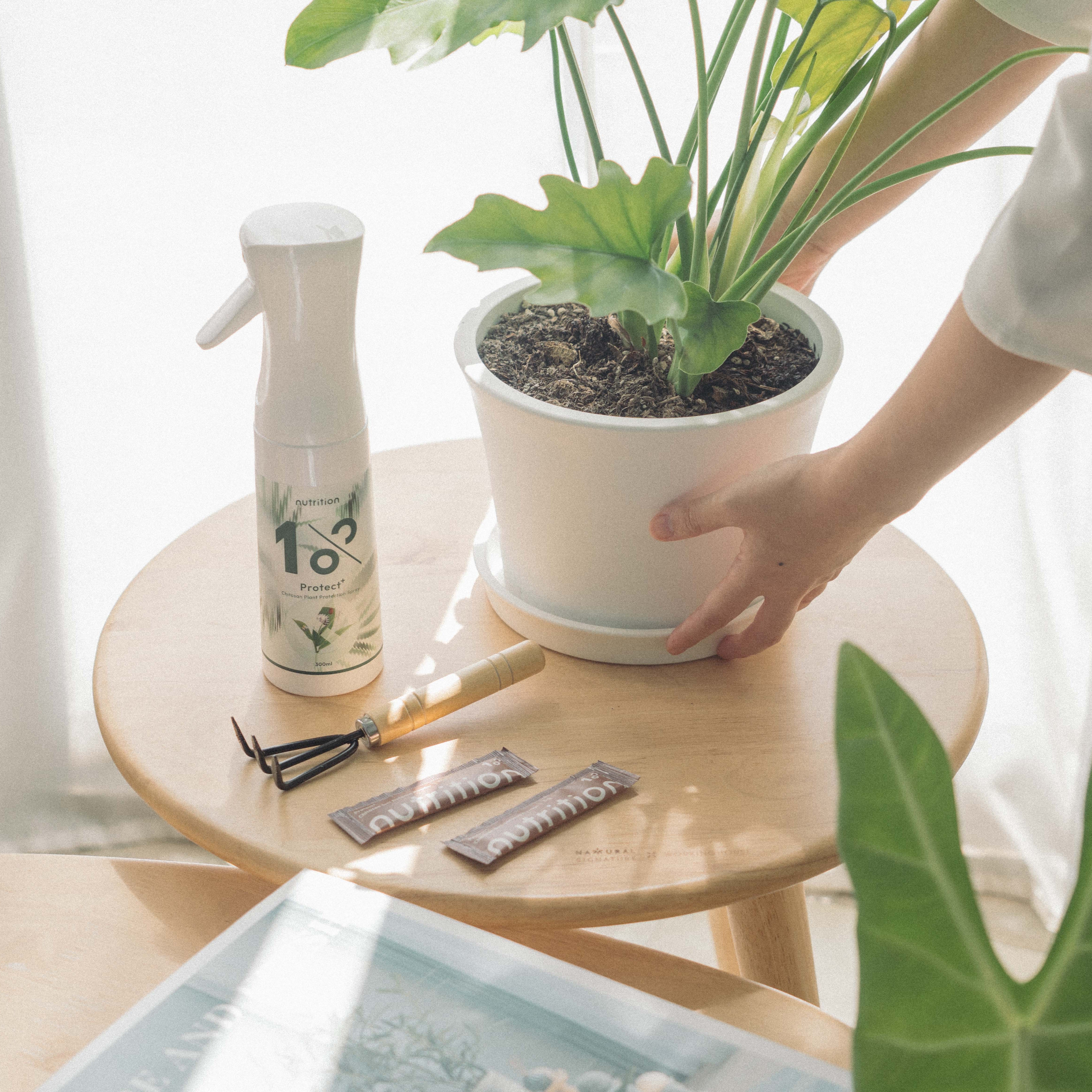 1% Protect+ 甲殼素植物驅蟲噴霧 300 ml