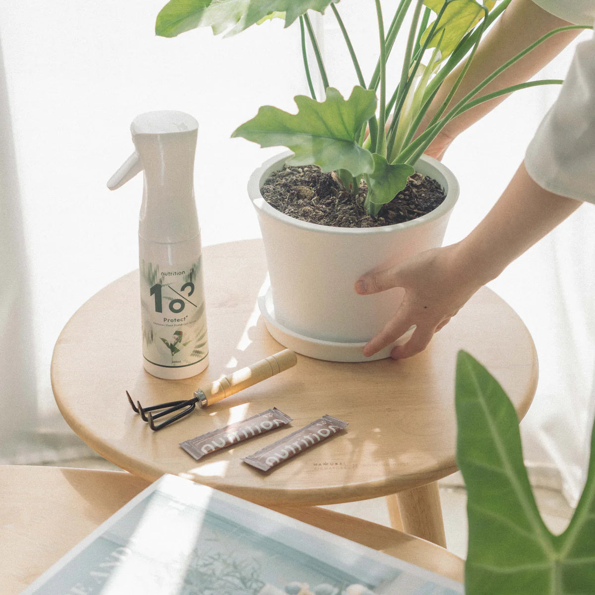 「龜老闆限定特價」甲殼素驅蟲噴霧補充包囤貨組