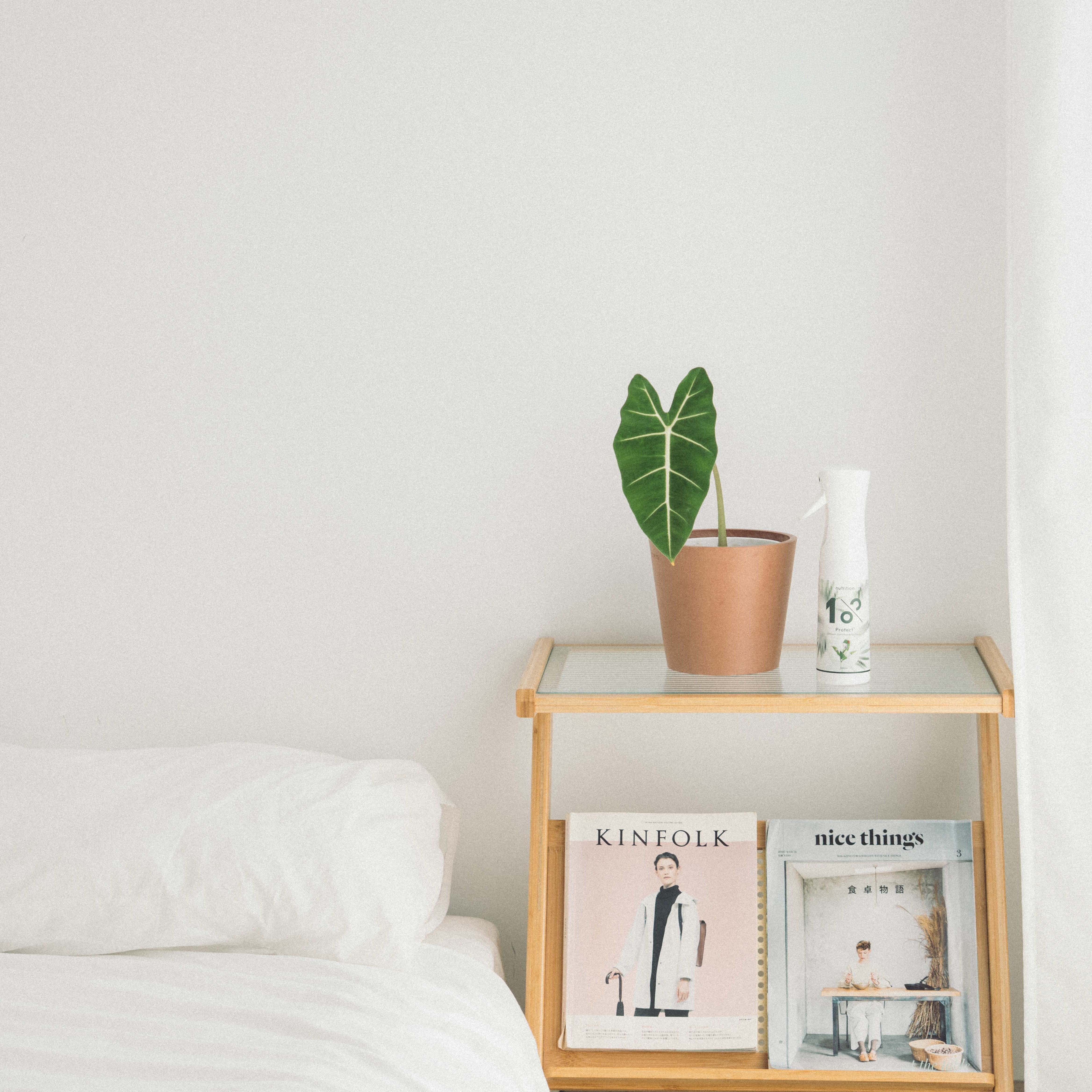 1% Protect+ 甲殼素植物驅蟲噴霧 300 ml