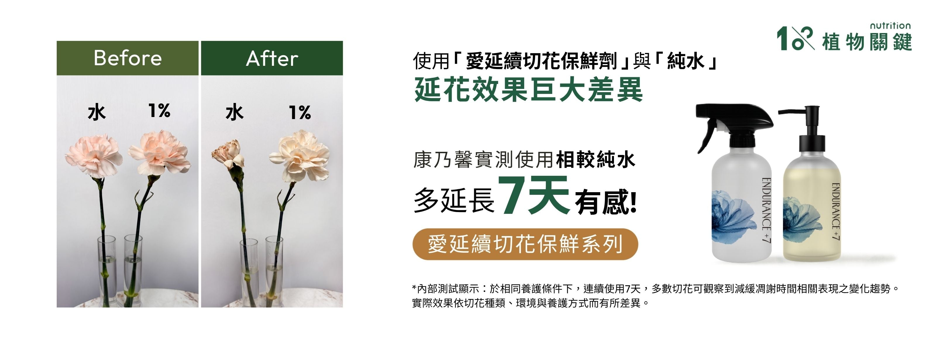 使用 Endurance +7 愛延續切花保鮮噴霧搭配切花保鮮精華後,花朵維持挺立飽滿狀態,降低花瓣枯萎速度,讓鮮花觀賞期更持久