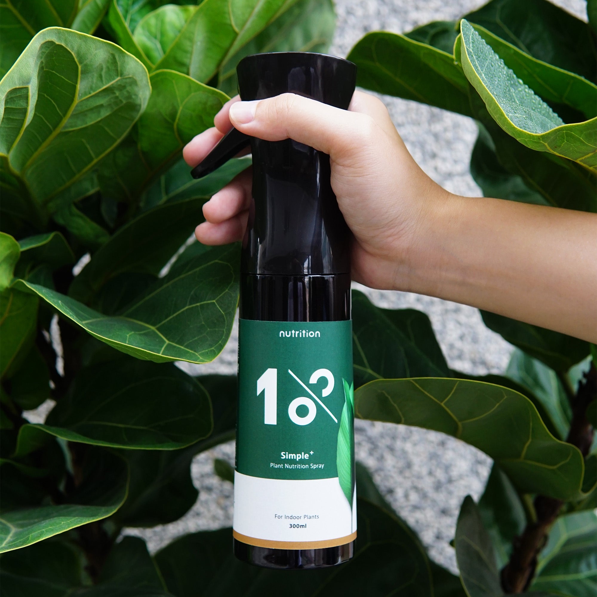 1%植物保養噴霧 300 ml