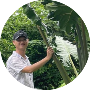 金鼎獎植物科普作家|王瑞閔 × 胖胖樹