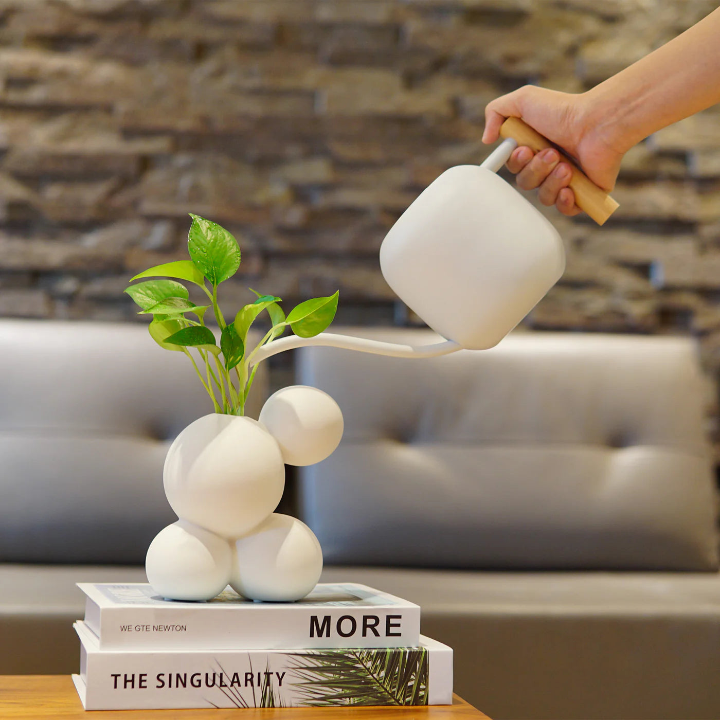 『新春限定』盆花營養綻放組