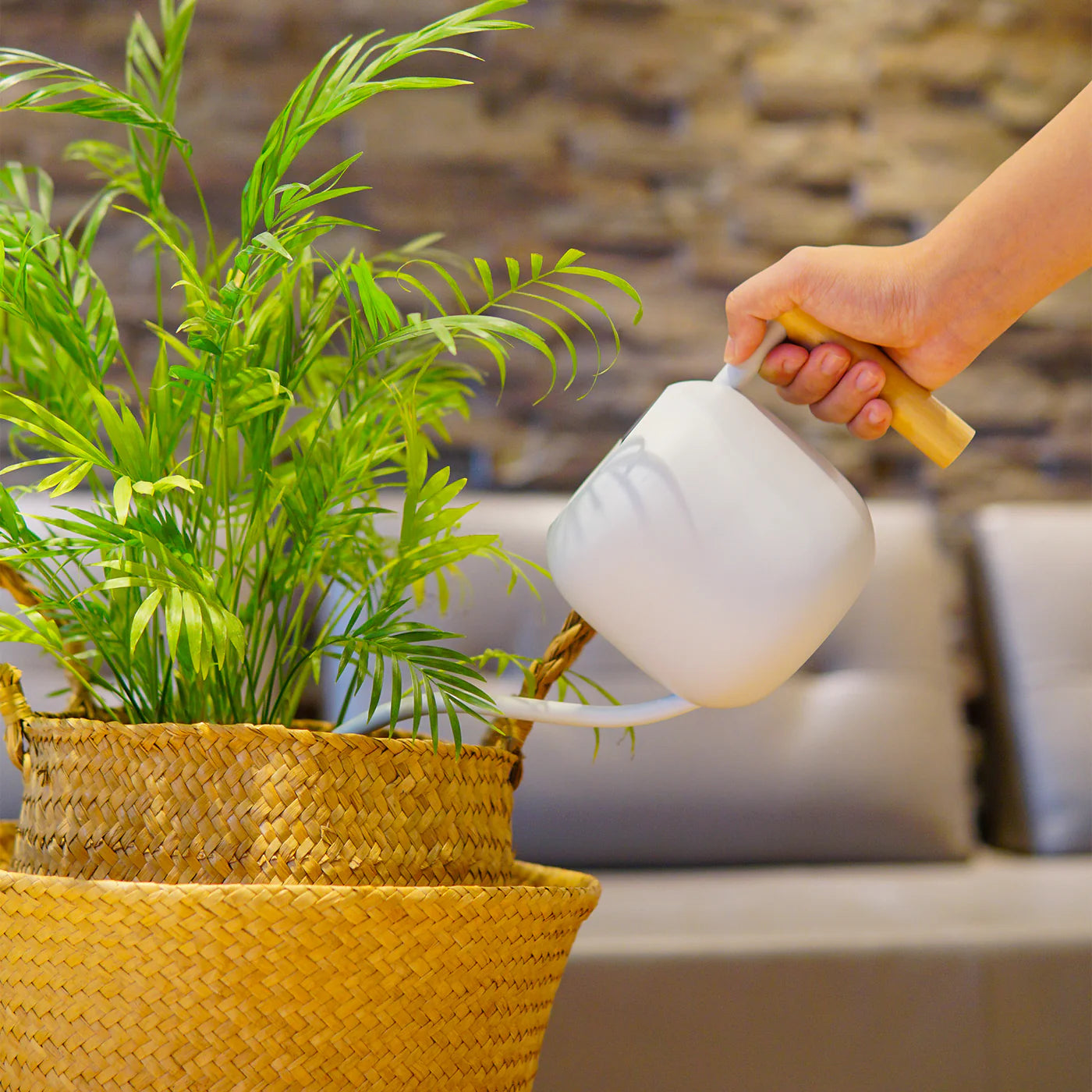 『新春限定』綻放澆水體驗組