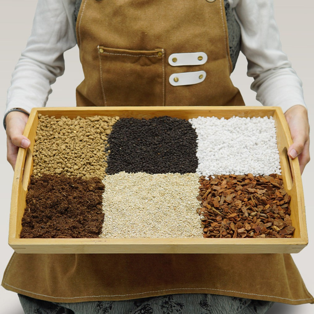 居家室內專用土 多肉專用土