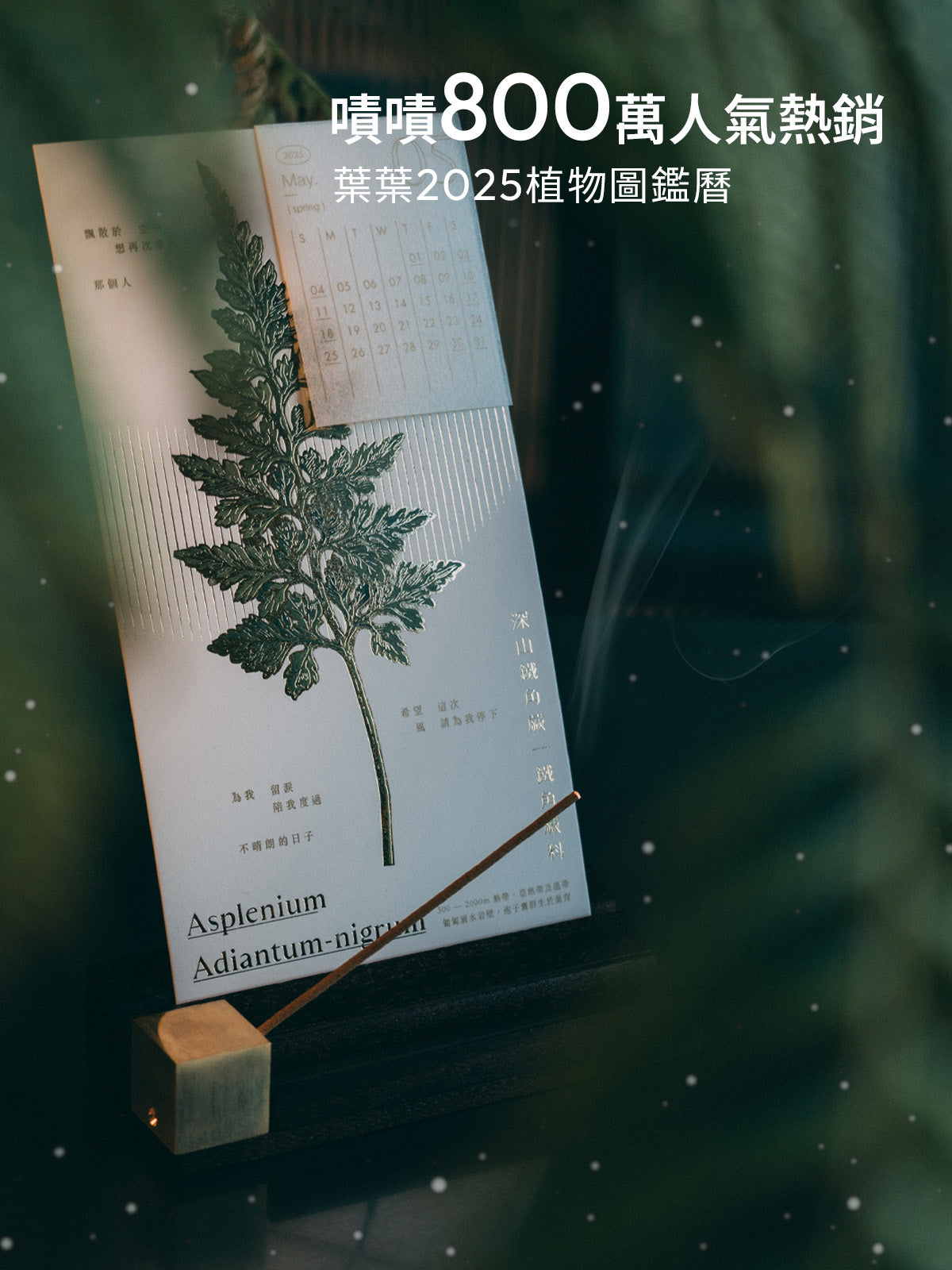 葉葉 2025植物圖鑑曆