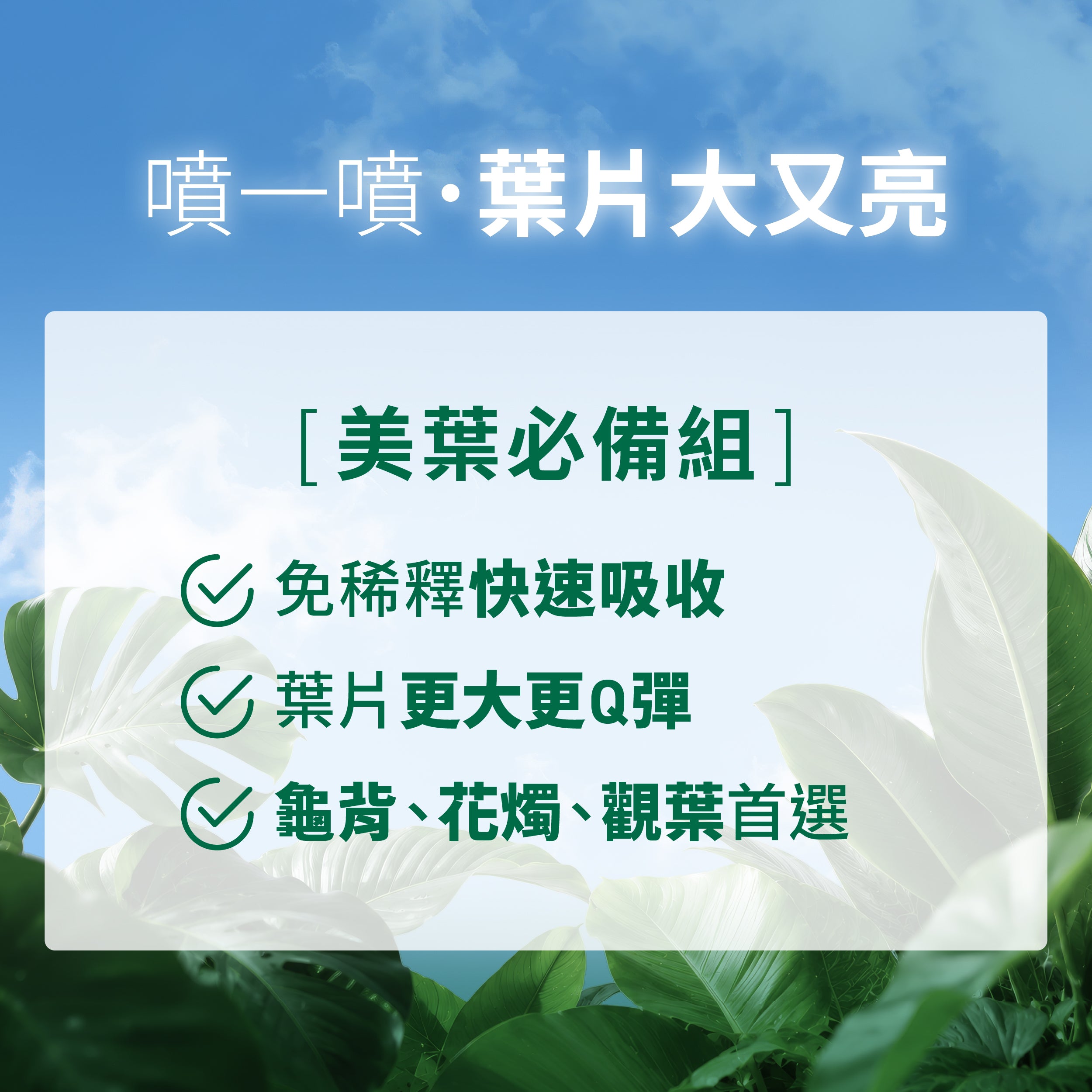 1%植物保養噴霧美葉必備組,免稀釋直接噴灑,提升葉片光澤、維持健康生長,適合龜背芋與各類觀葉植物。