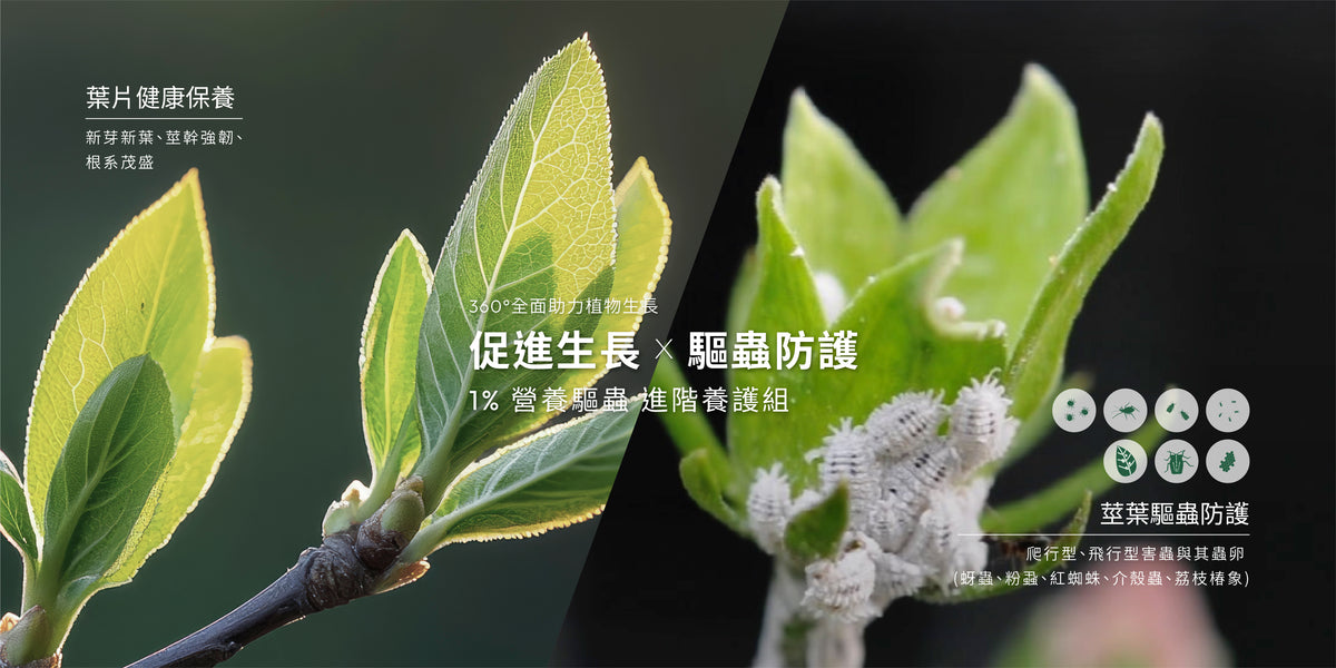 1%植物關鍵植物保養噴霧與 Protect+ 土壤防蟲粉養護組,幫助葉面亮澤並兼顧根土深層養護
